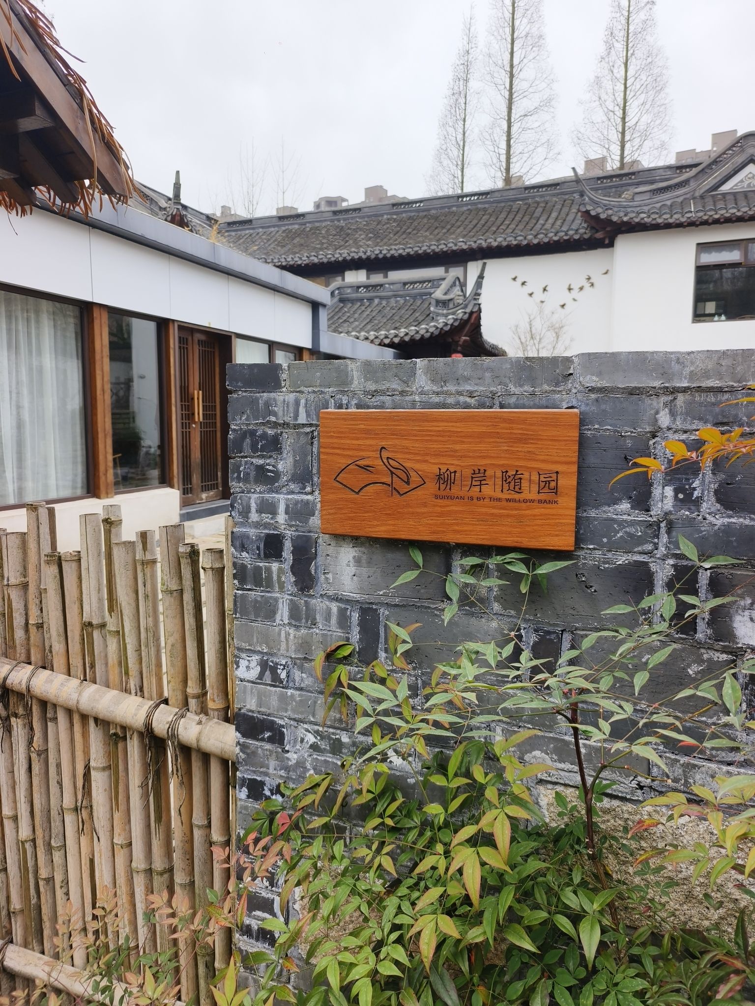 柳园旅行图片 3