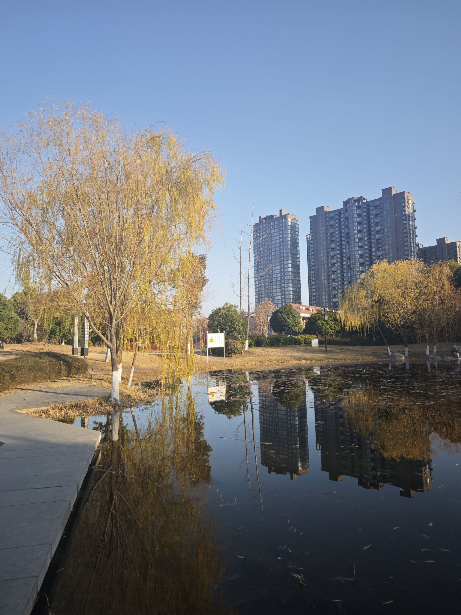 柳园旅行图片 2