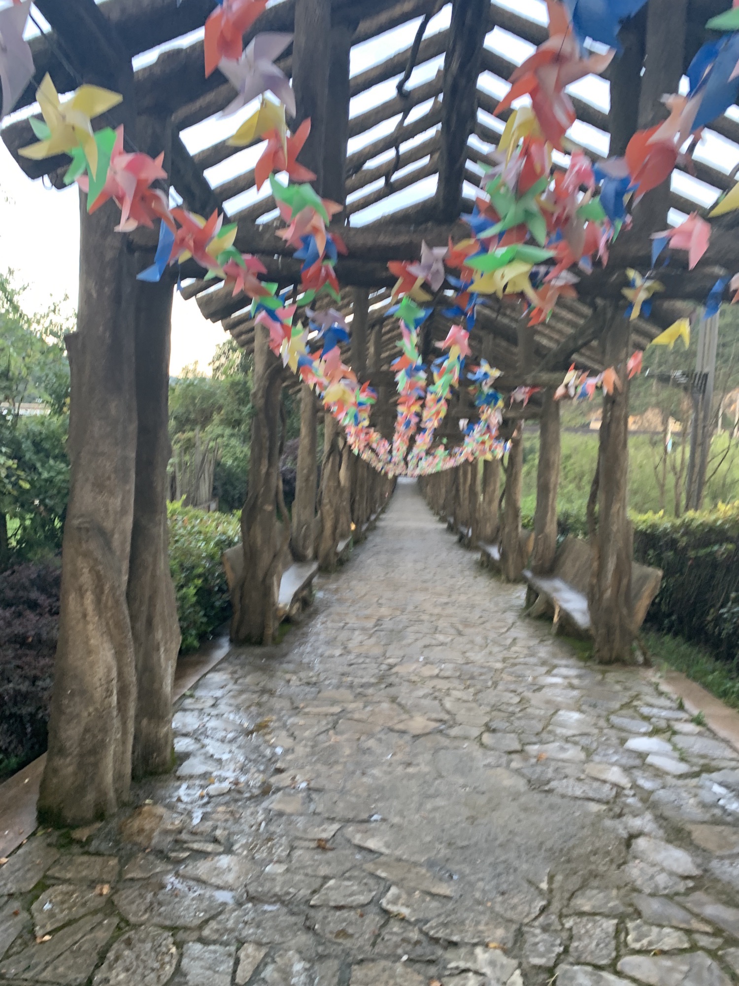 蓬莱仙界大景区旅行图片 3