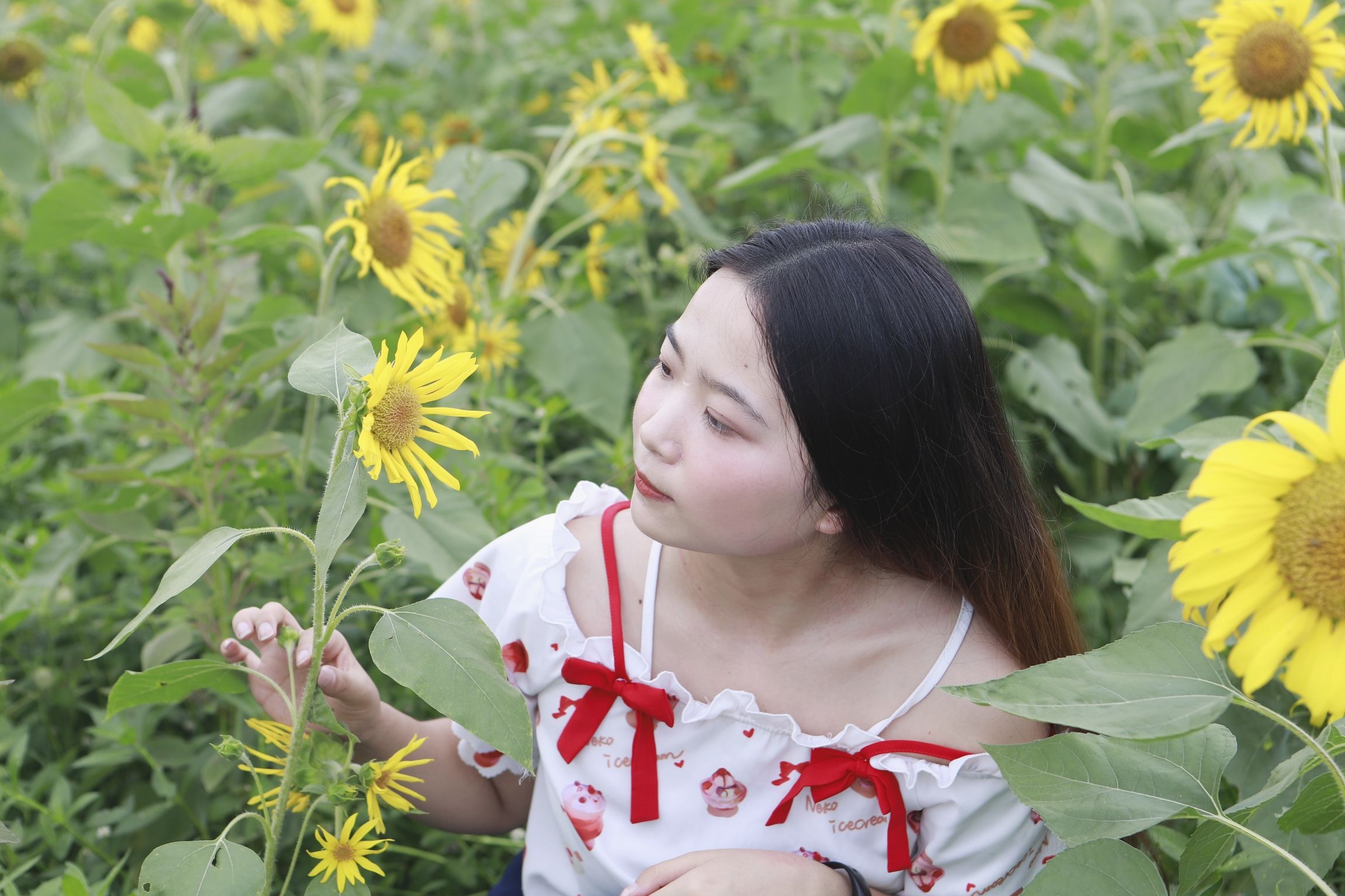 蓬莱仙界大景区旅行图片 2