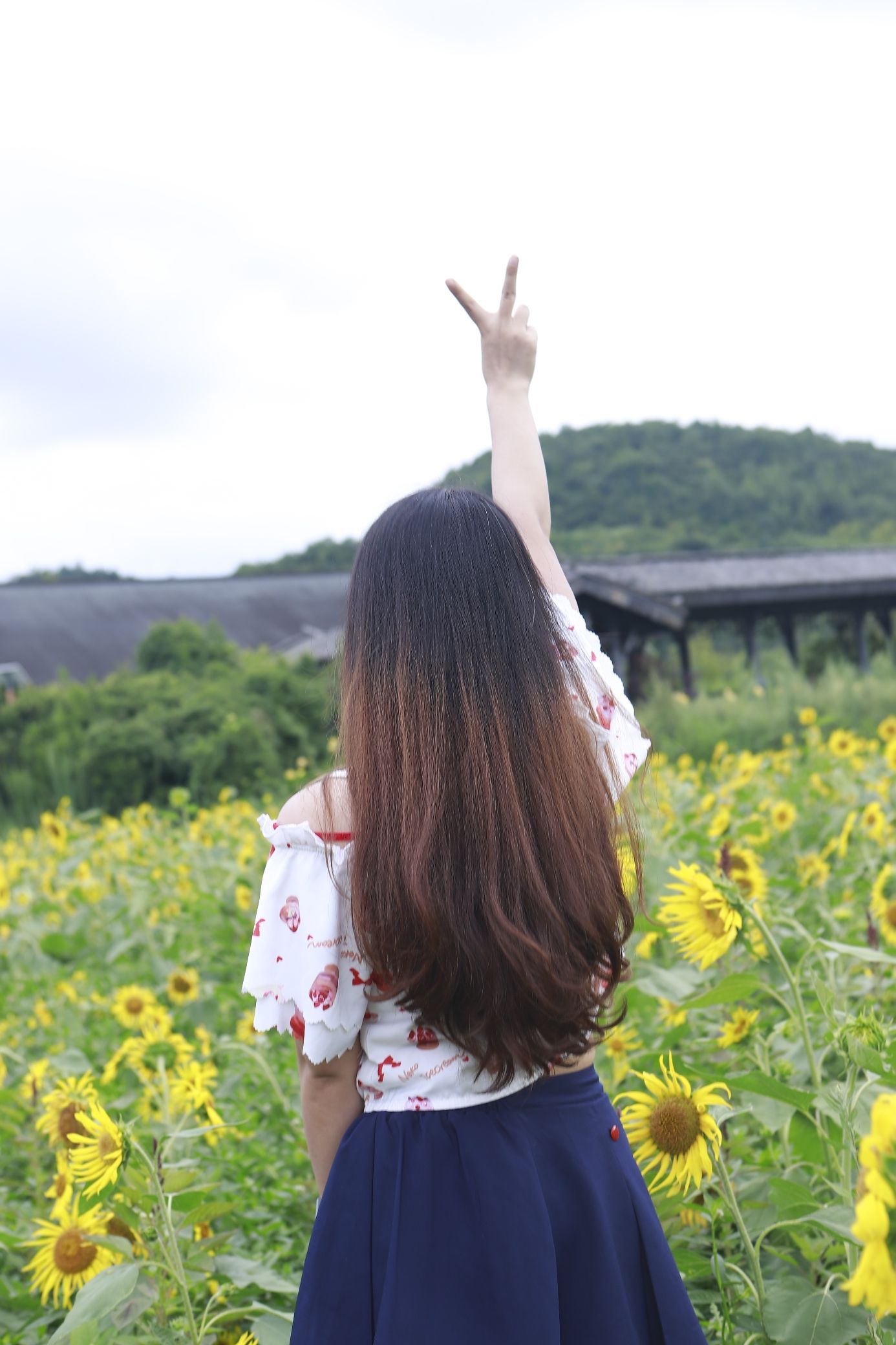 蓬莱仙界大景区旅行图片 3