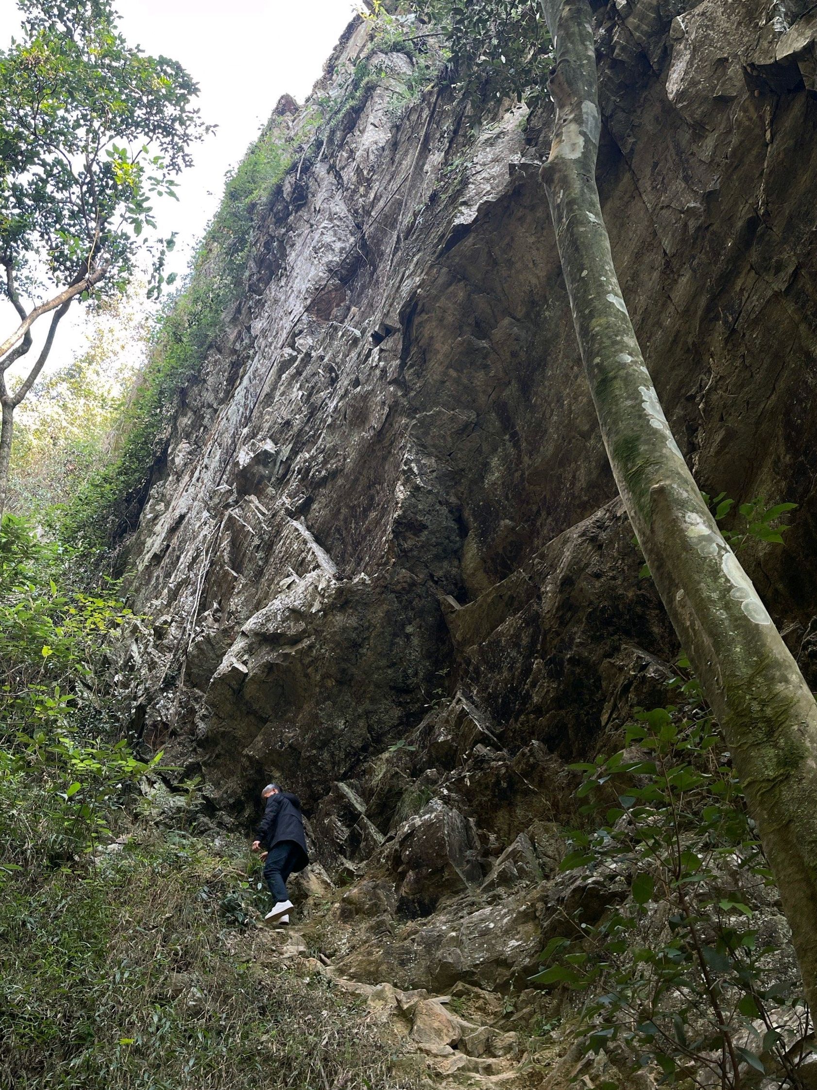 九龙潭旅行图片 2