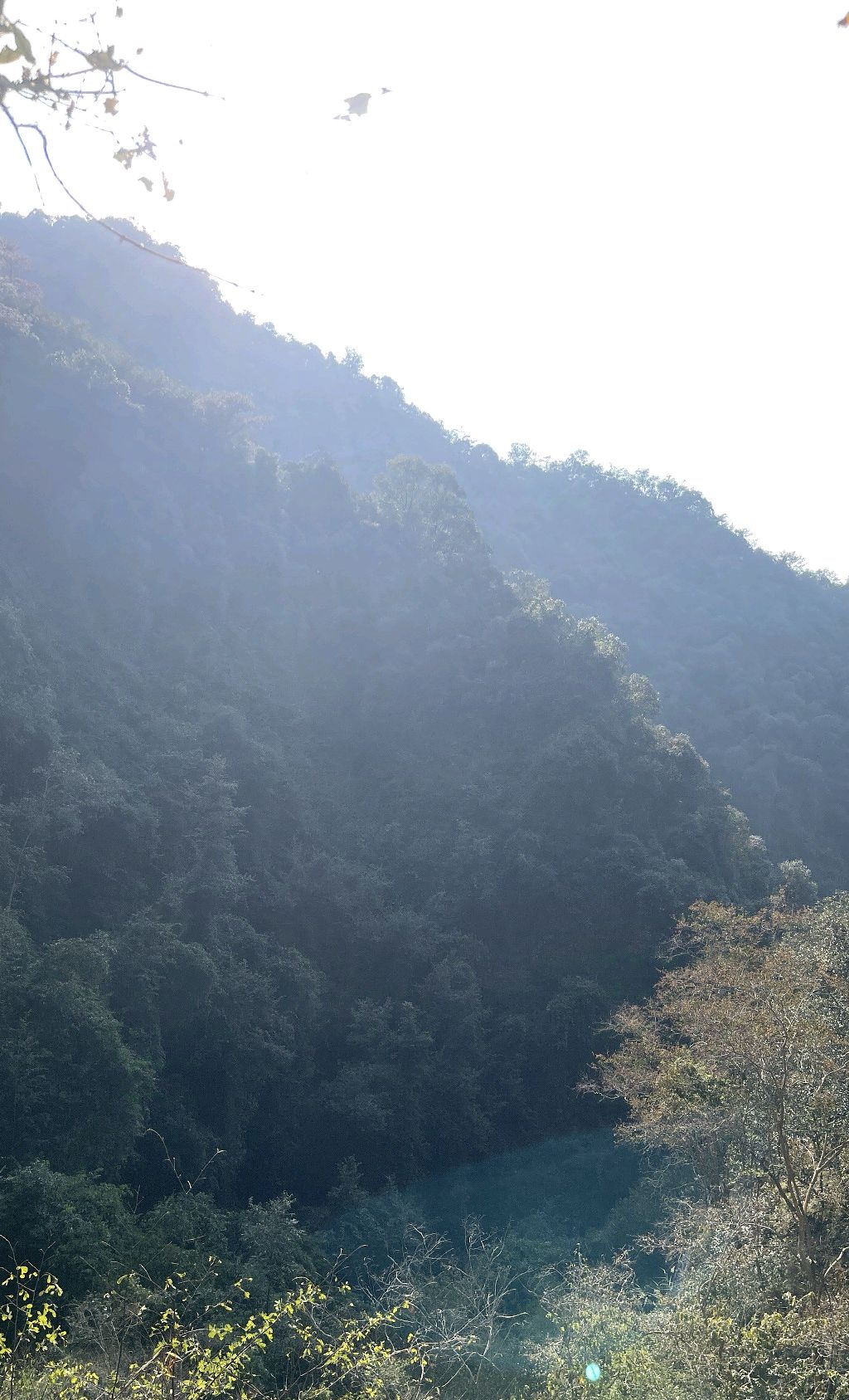 九龙潭旅行图片 1