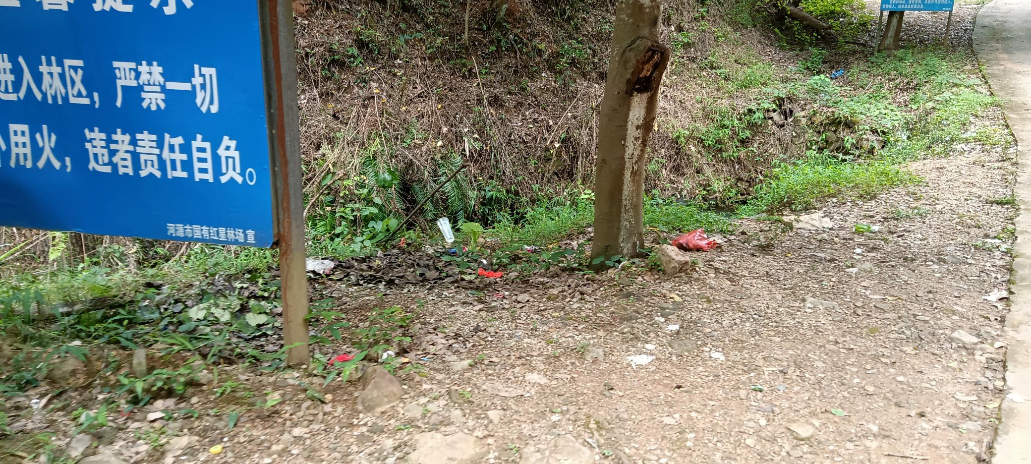 九龙潭旅行图片 2