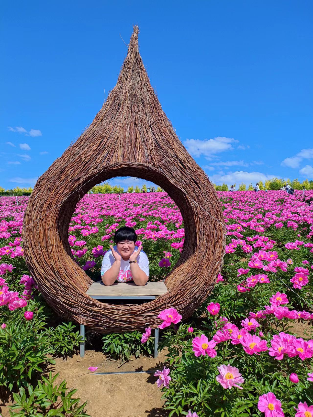 石河东沟花海旅行图片 1
