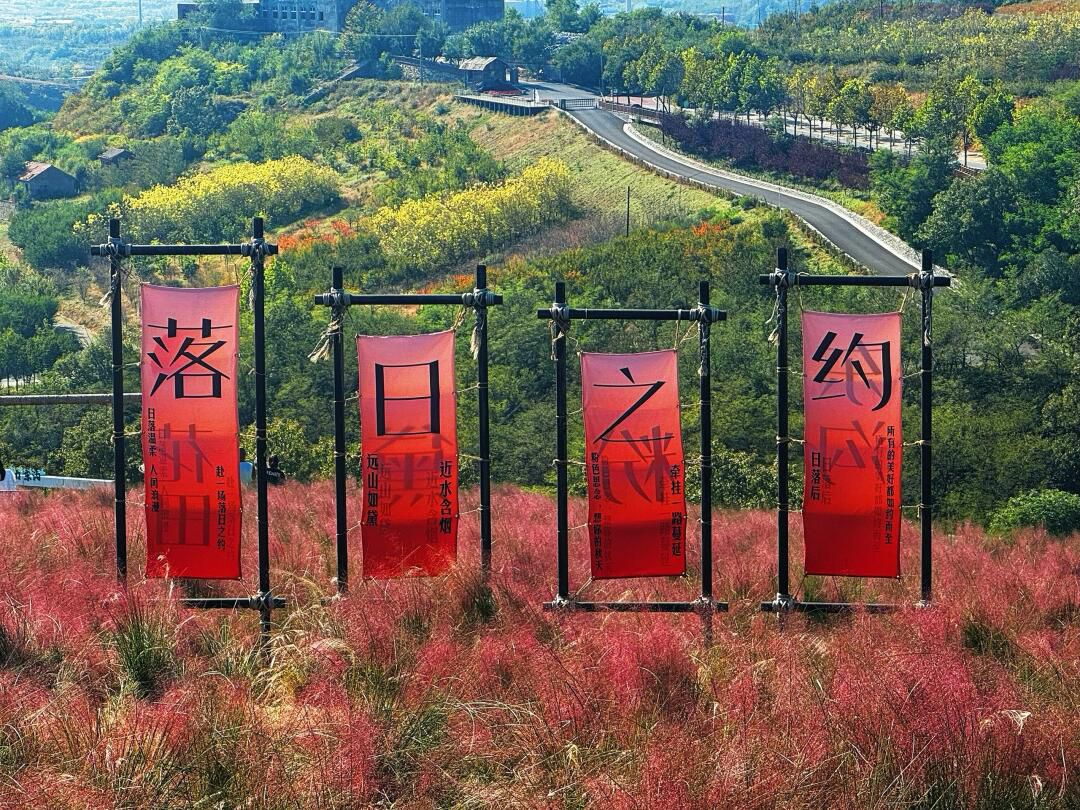 石河东沟花海旅行图片 3