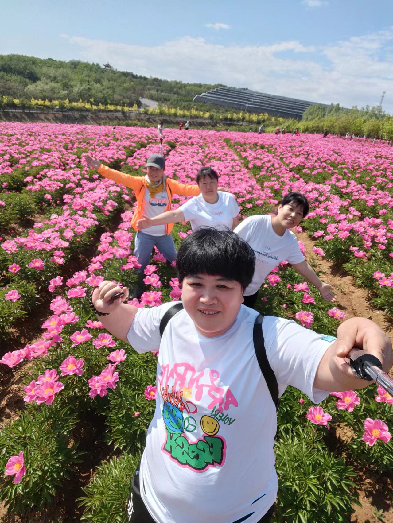 石河东沟花海旅行图片 3