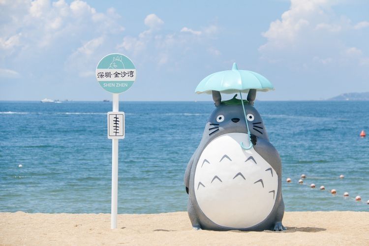中信城开金沙湾旅行图片 1