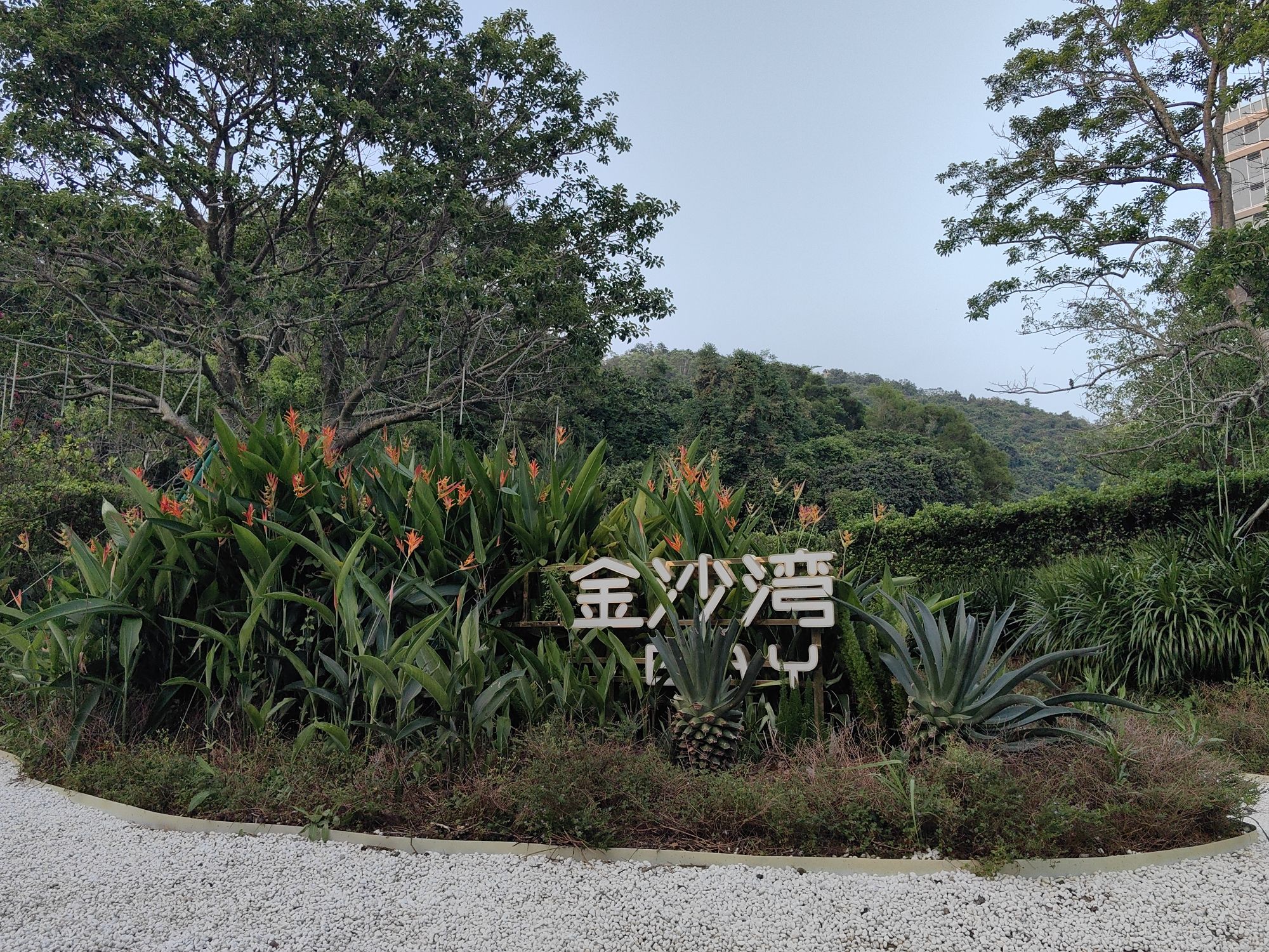 中信城开金沙湾