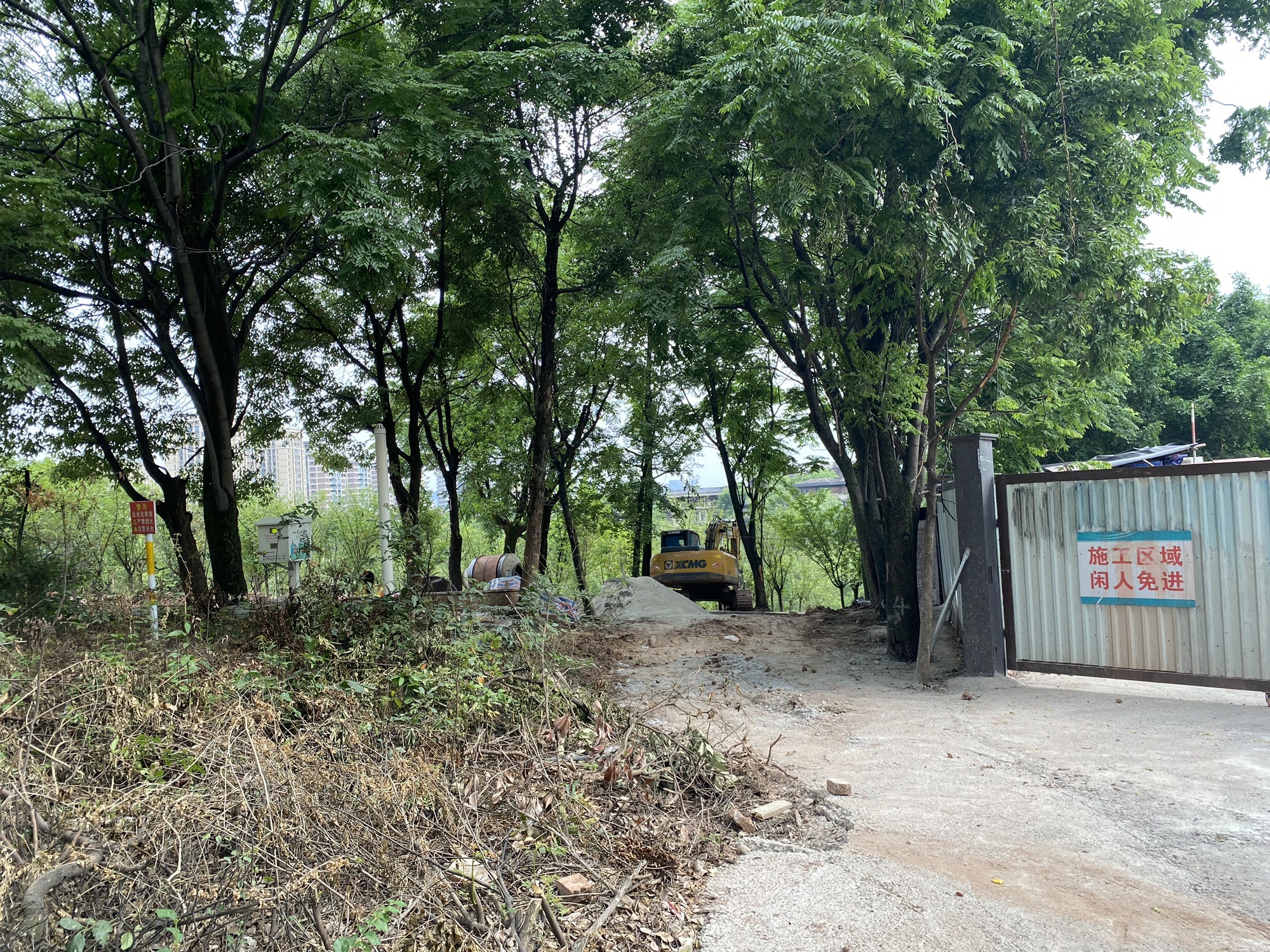 花溪公园旅行图片 2