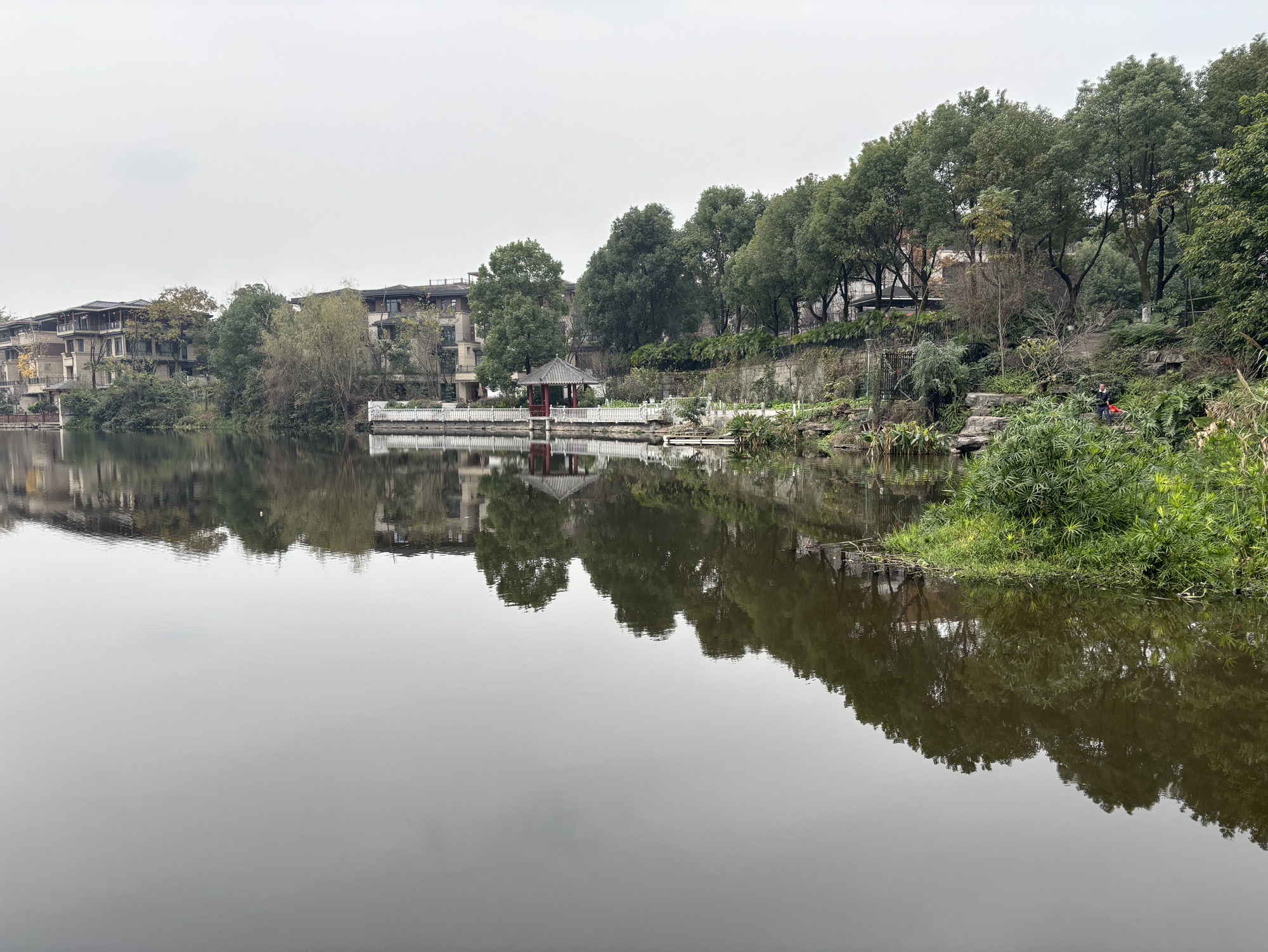 花溪公园旅行图片 2