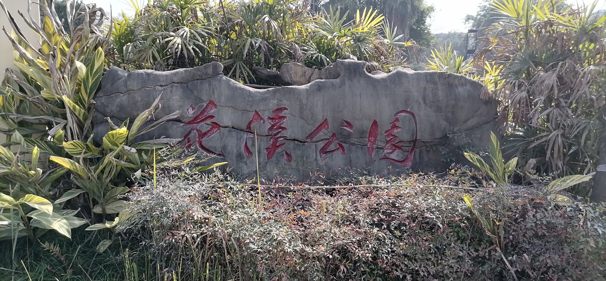花溪公园旅行图片 1