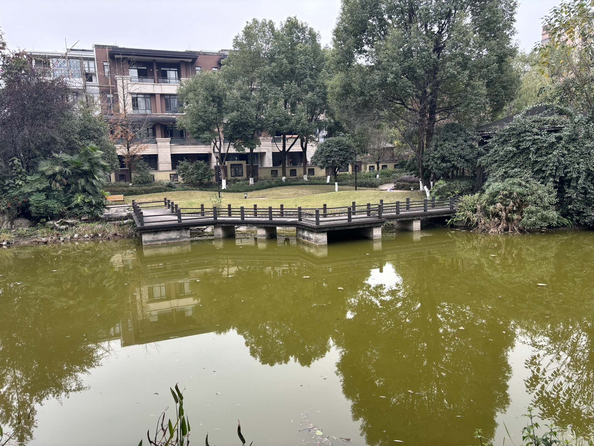 花溪公园旅行图片 3