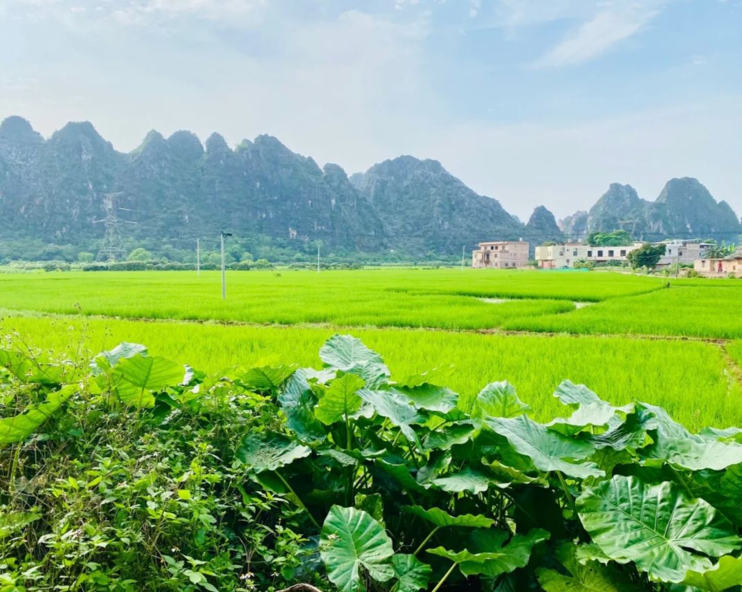 陆川县珊罗镇田龙村龙尾屯将军寨风景区旅行图片 2