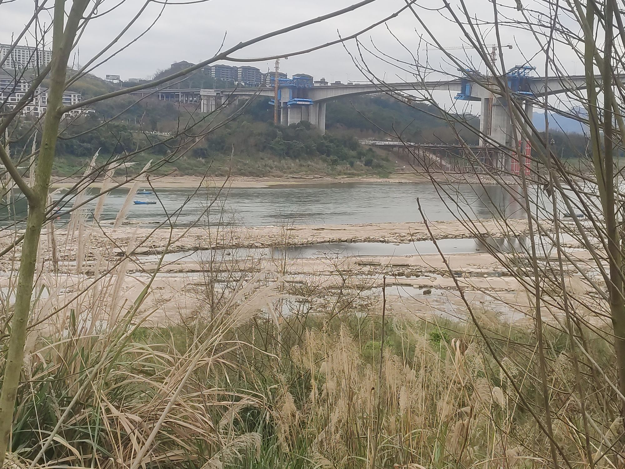 五彩滨江公园旅行图片 2