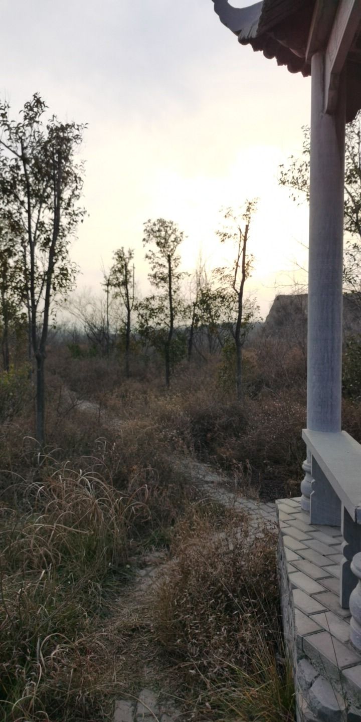 吕布点将台旅行图片 2