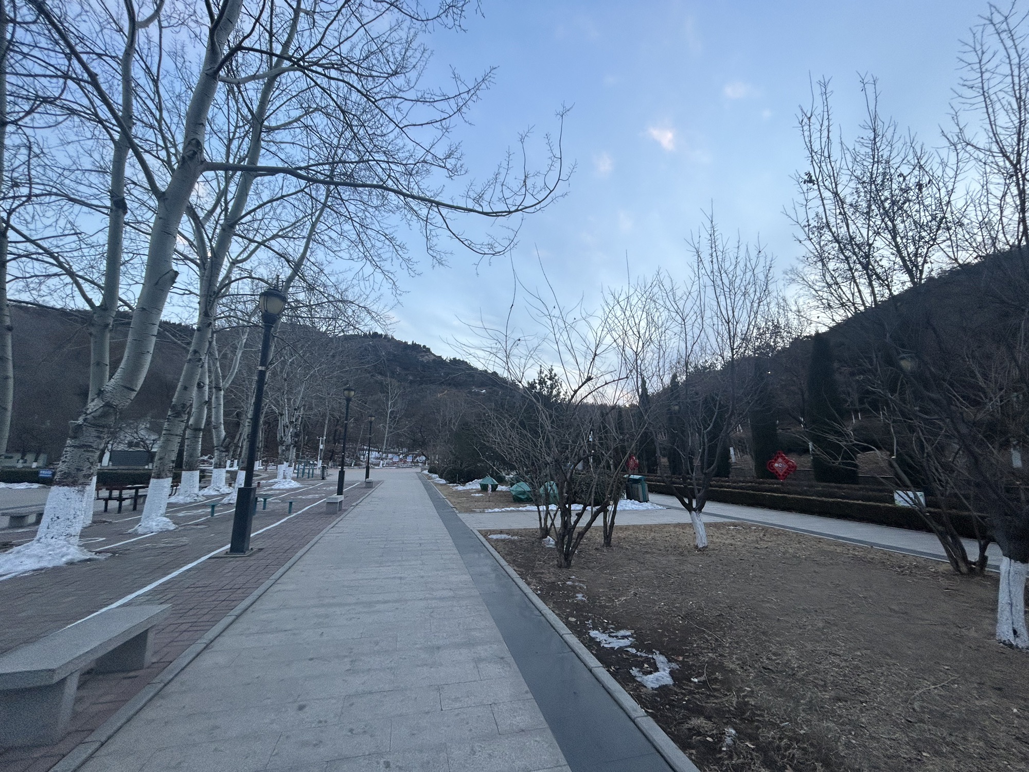 紫金山公园旅行图片 2