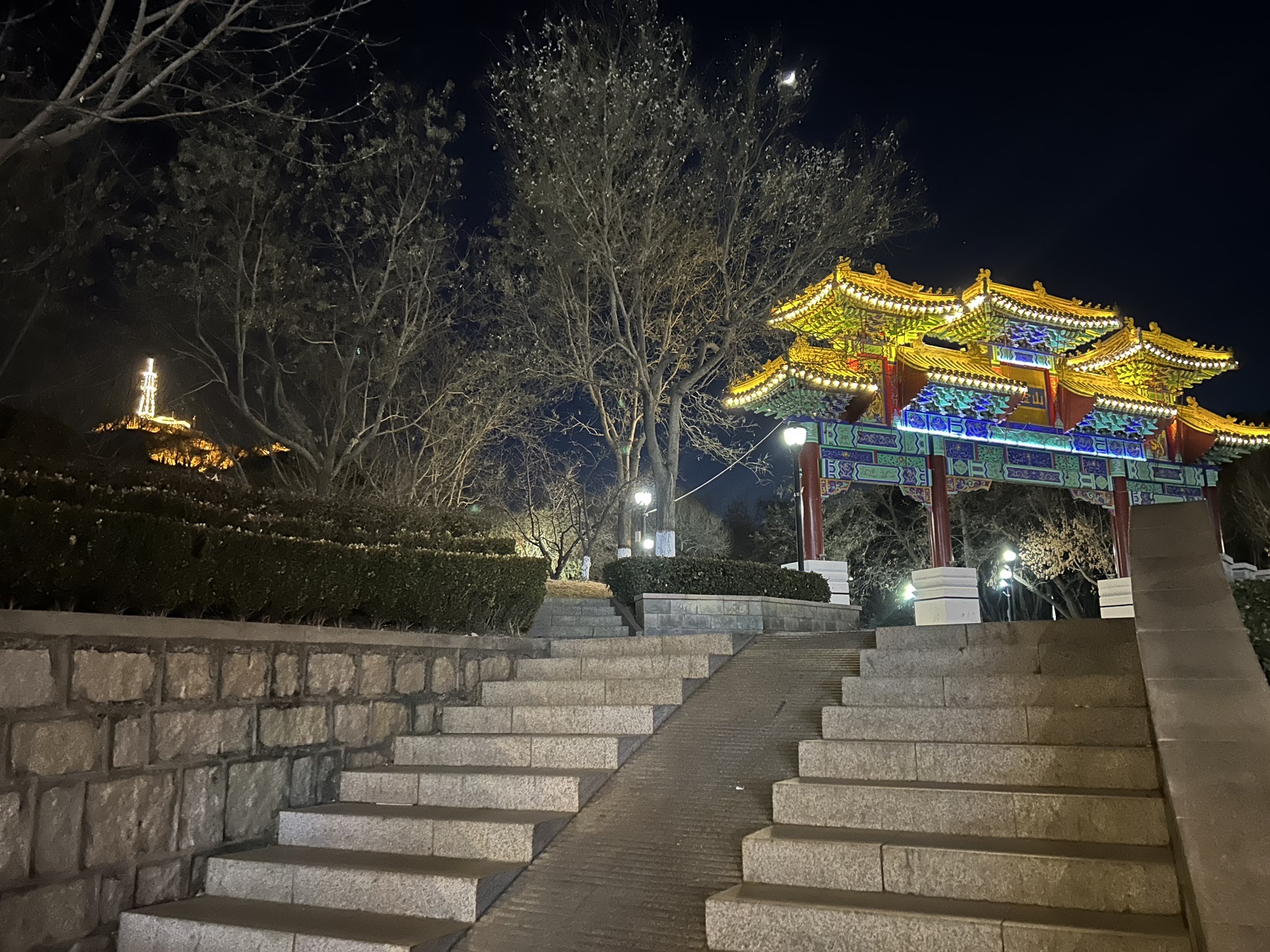 紫金山公园旅行图片 1