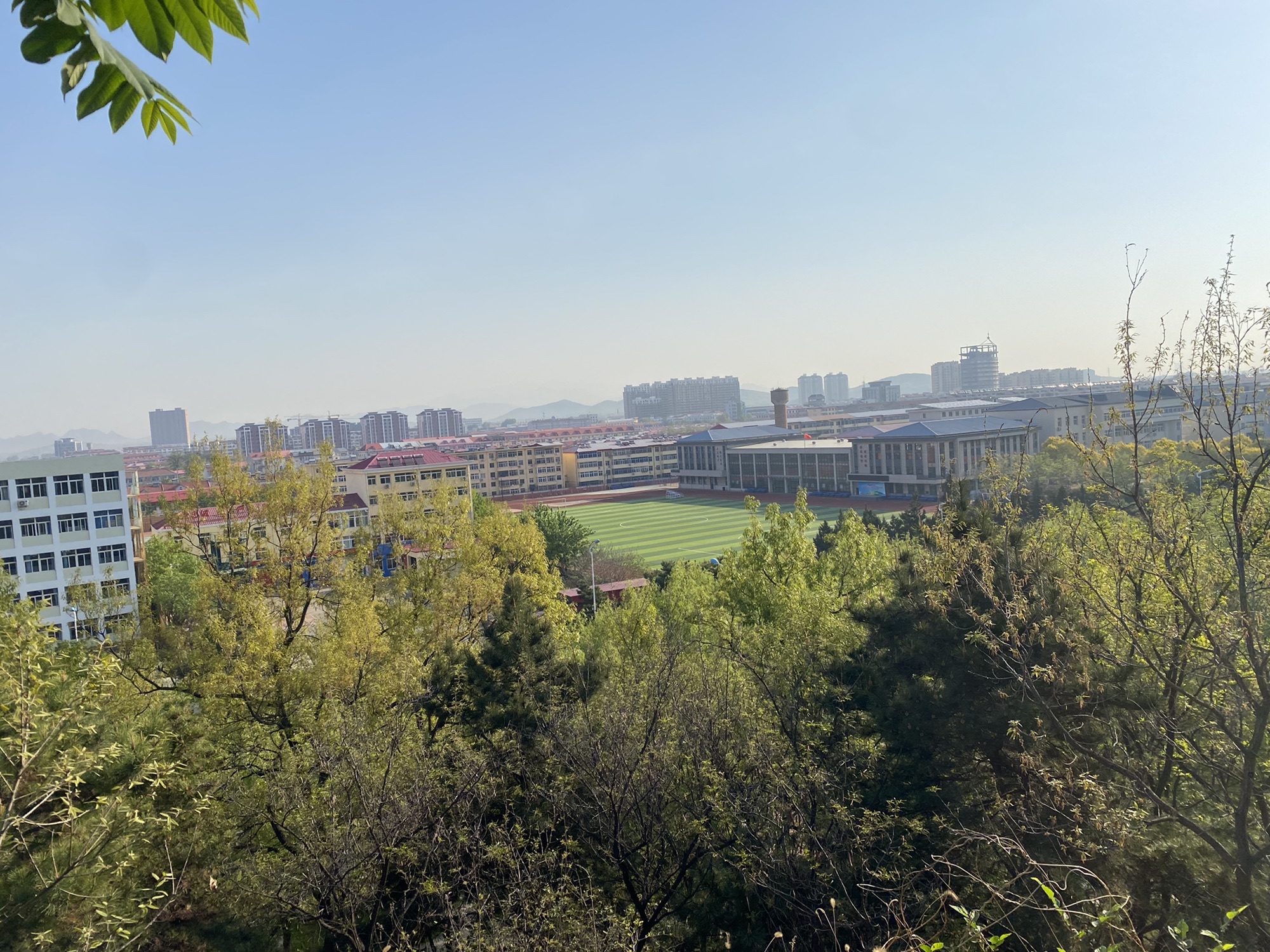 紫金山公园旅行图片 3