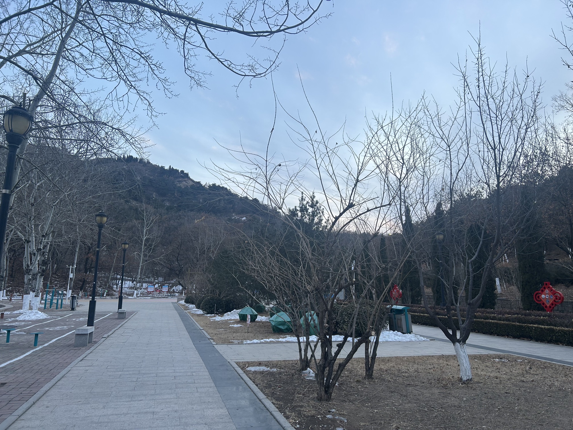 紫金山公园旅行图片 3