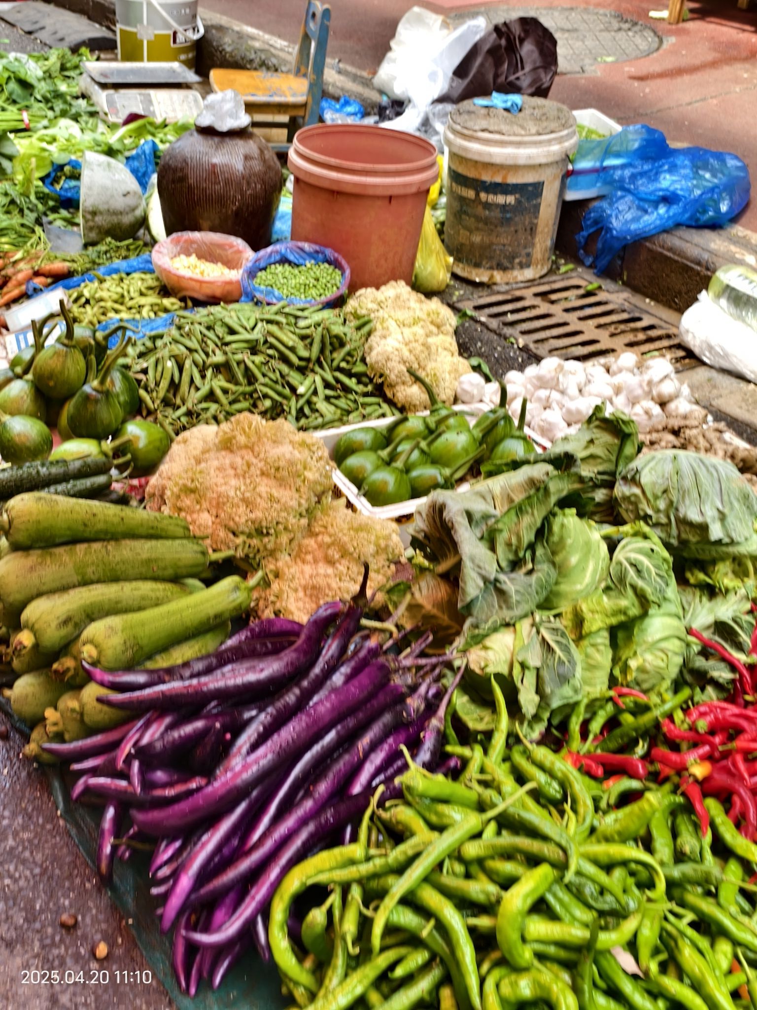 银桂临时规范点