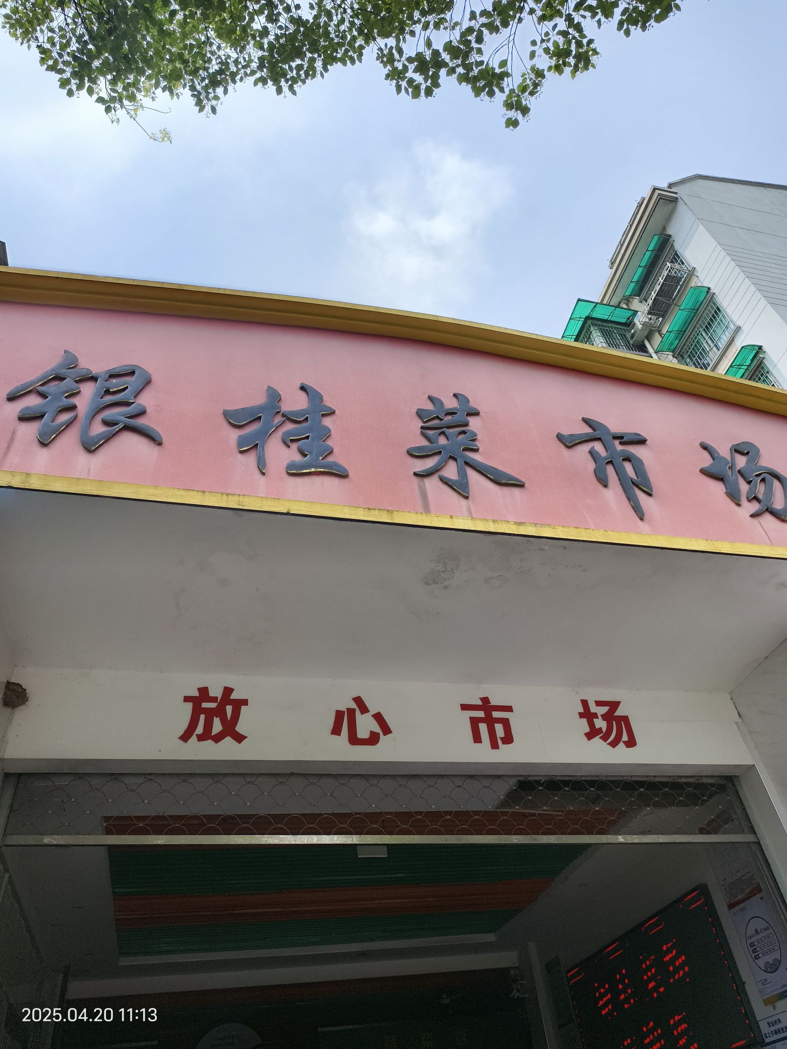 银桂临时规范点