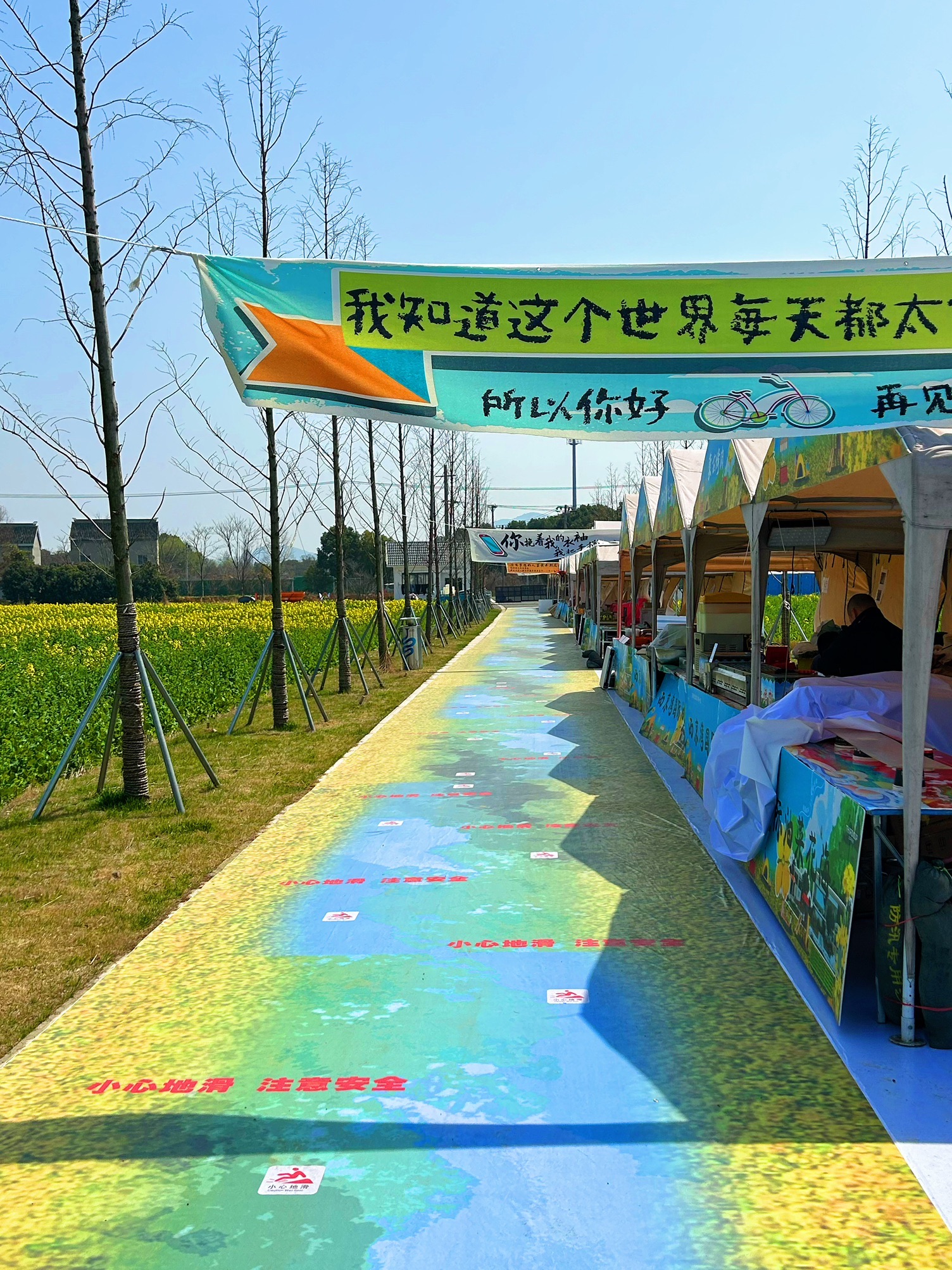 西京湾花海旅行图片 3