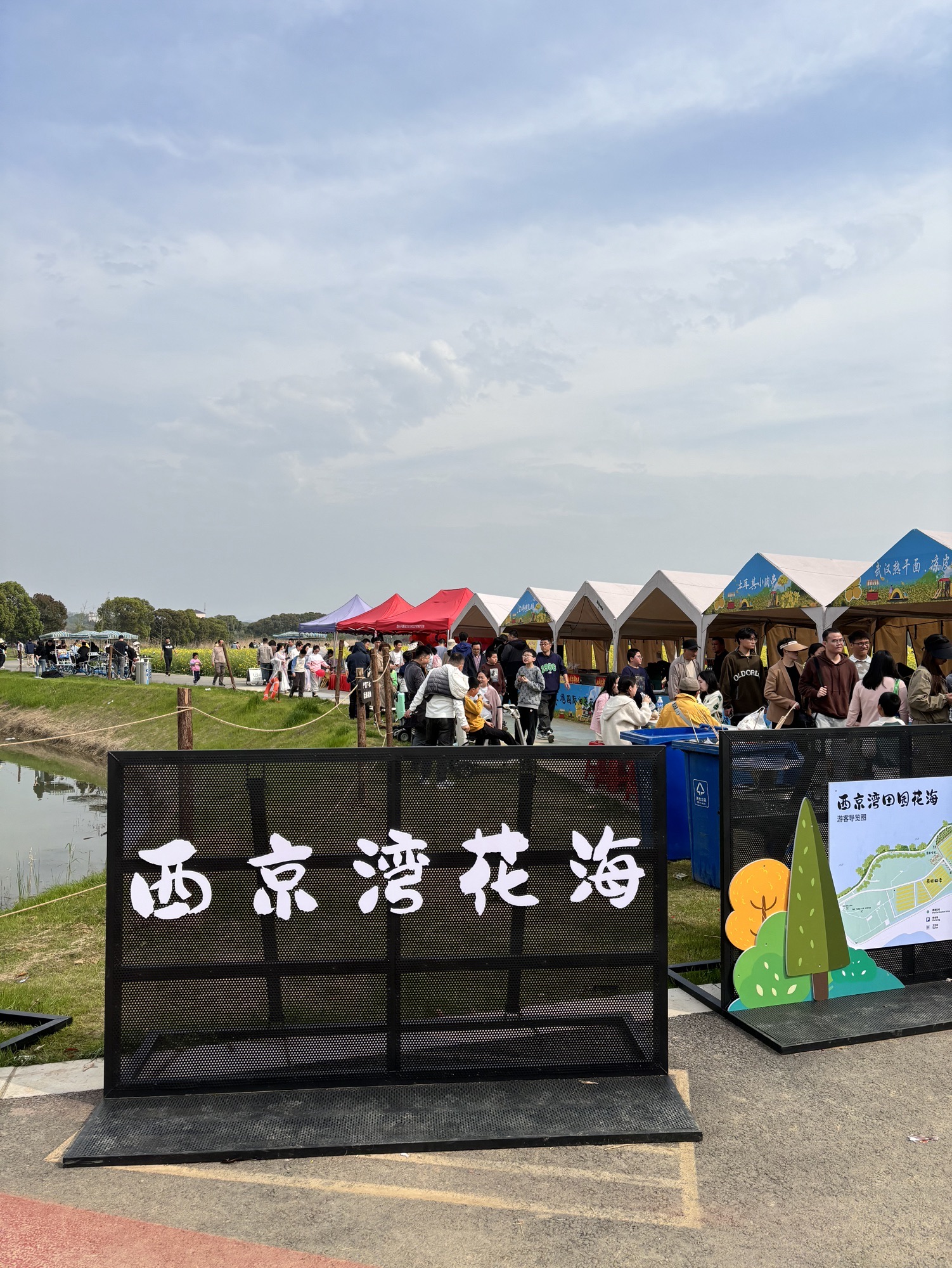 西京湾花海旅行图片 1