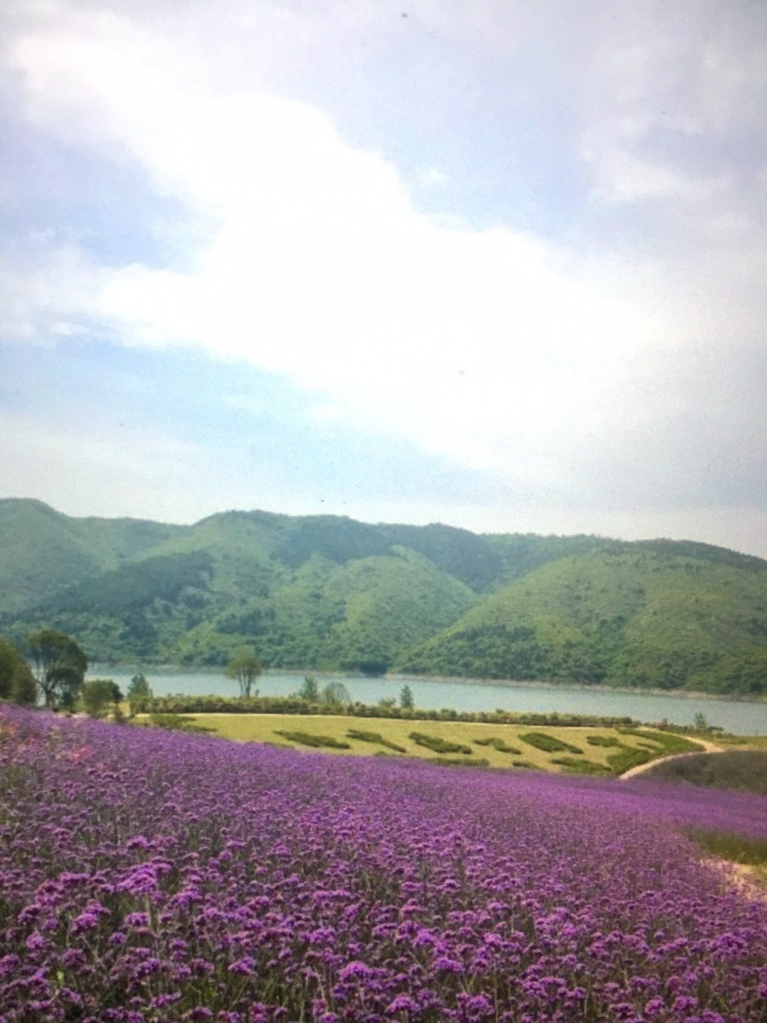 汉江绿谷旅游风景区旅行图片 2