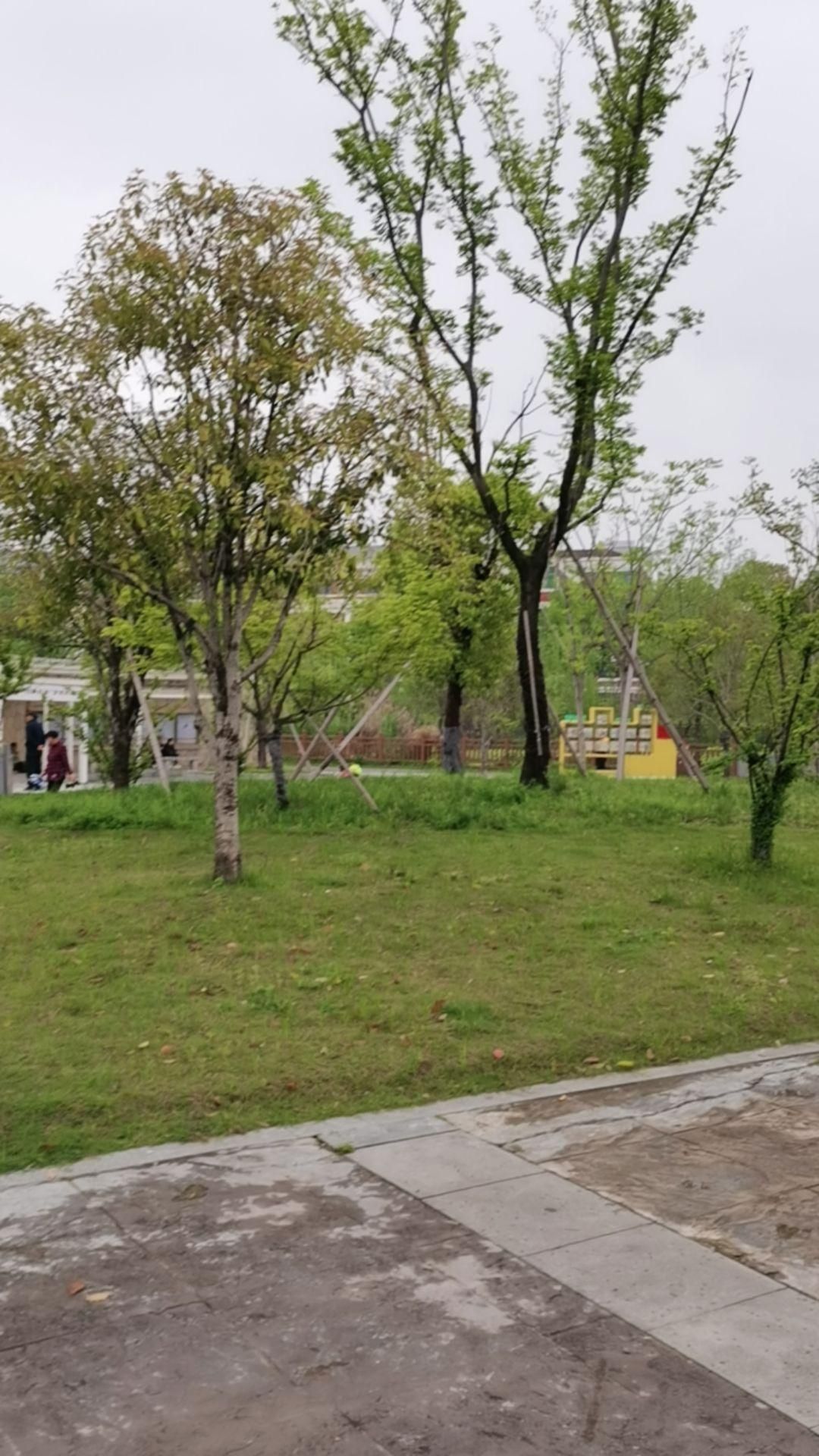 银海公园旅行图片 3
