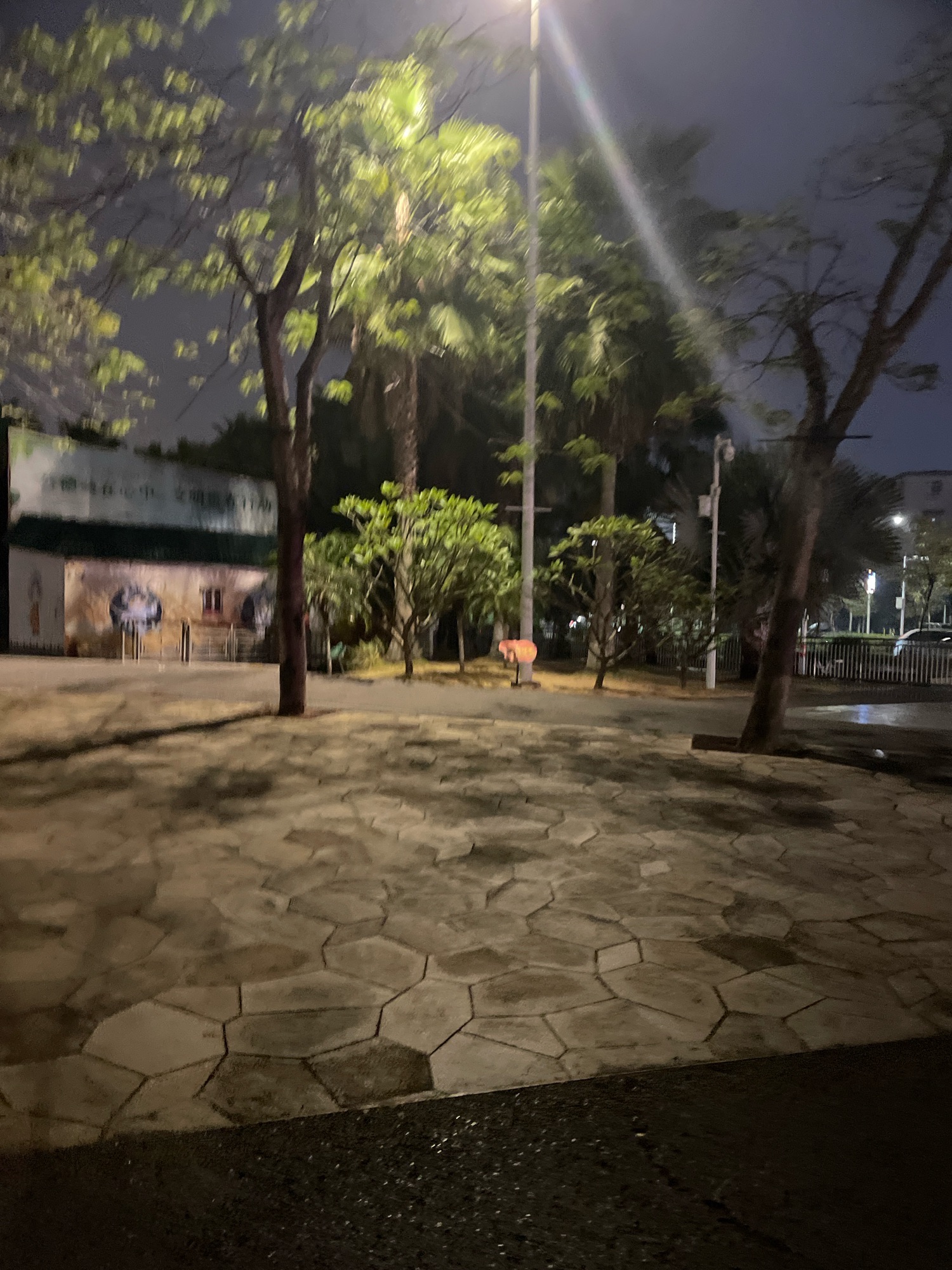 揭阳市儿童公园旅行图片 1