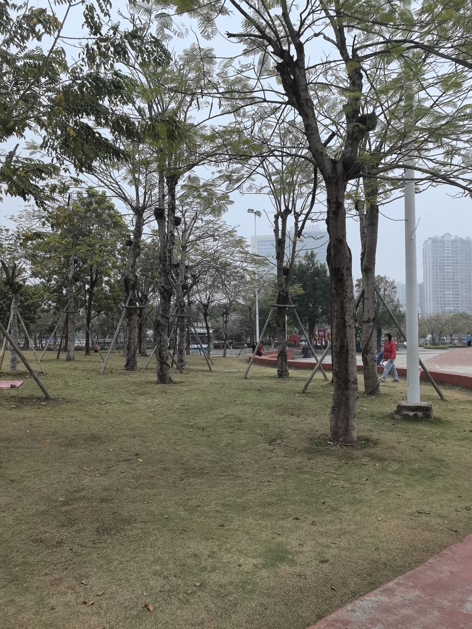 揭阳市儿童公园旅行图片 2