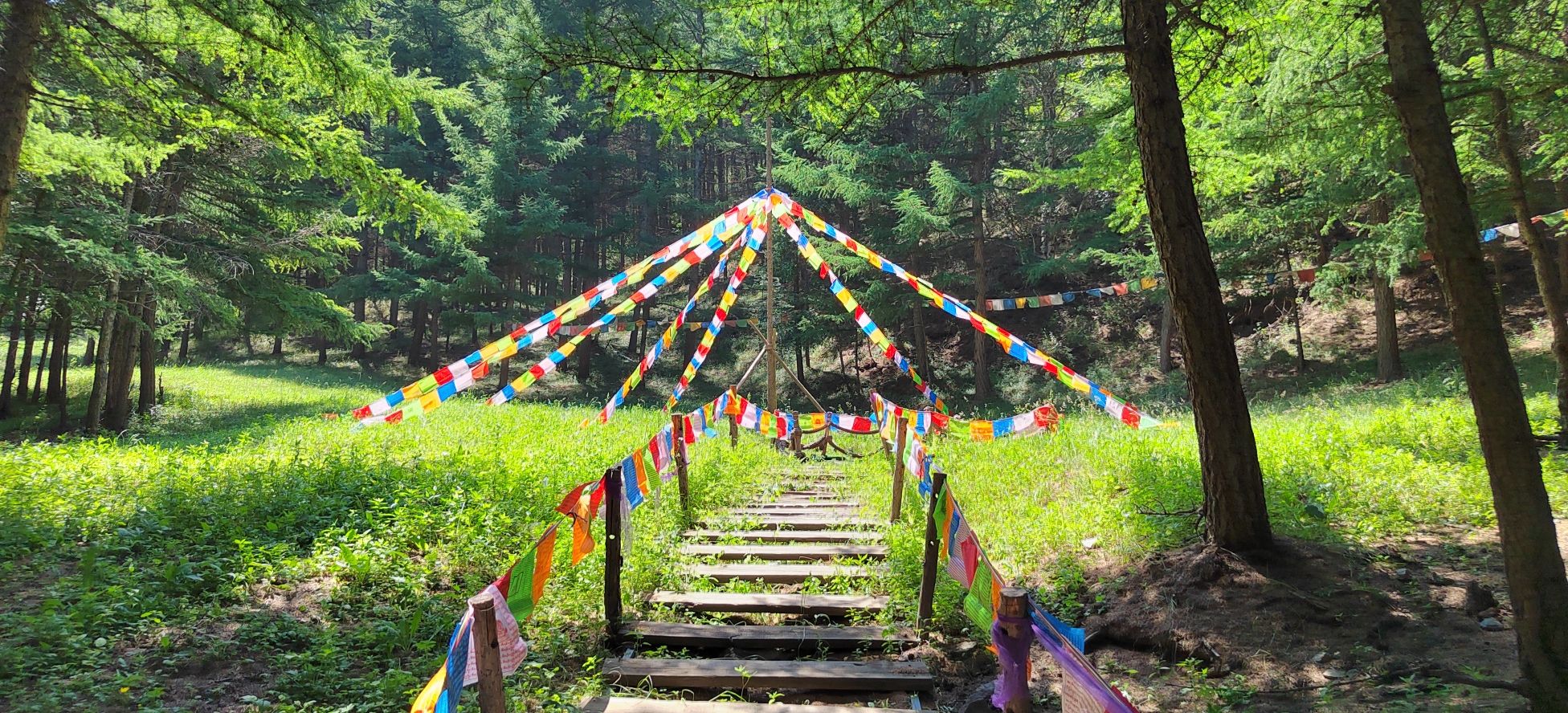 百花谷旅行图片 2