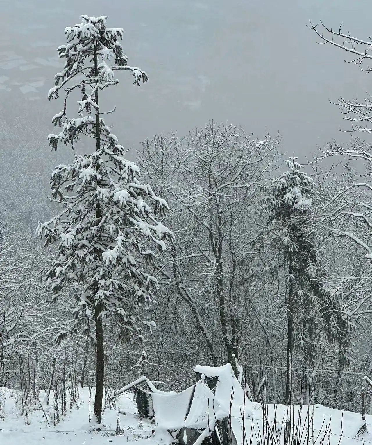 神瀑沟旅行图片 2