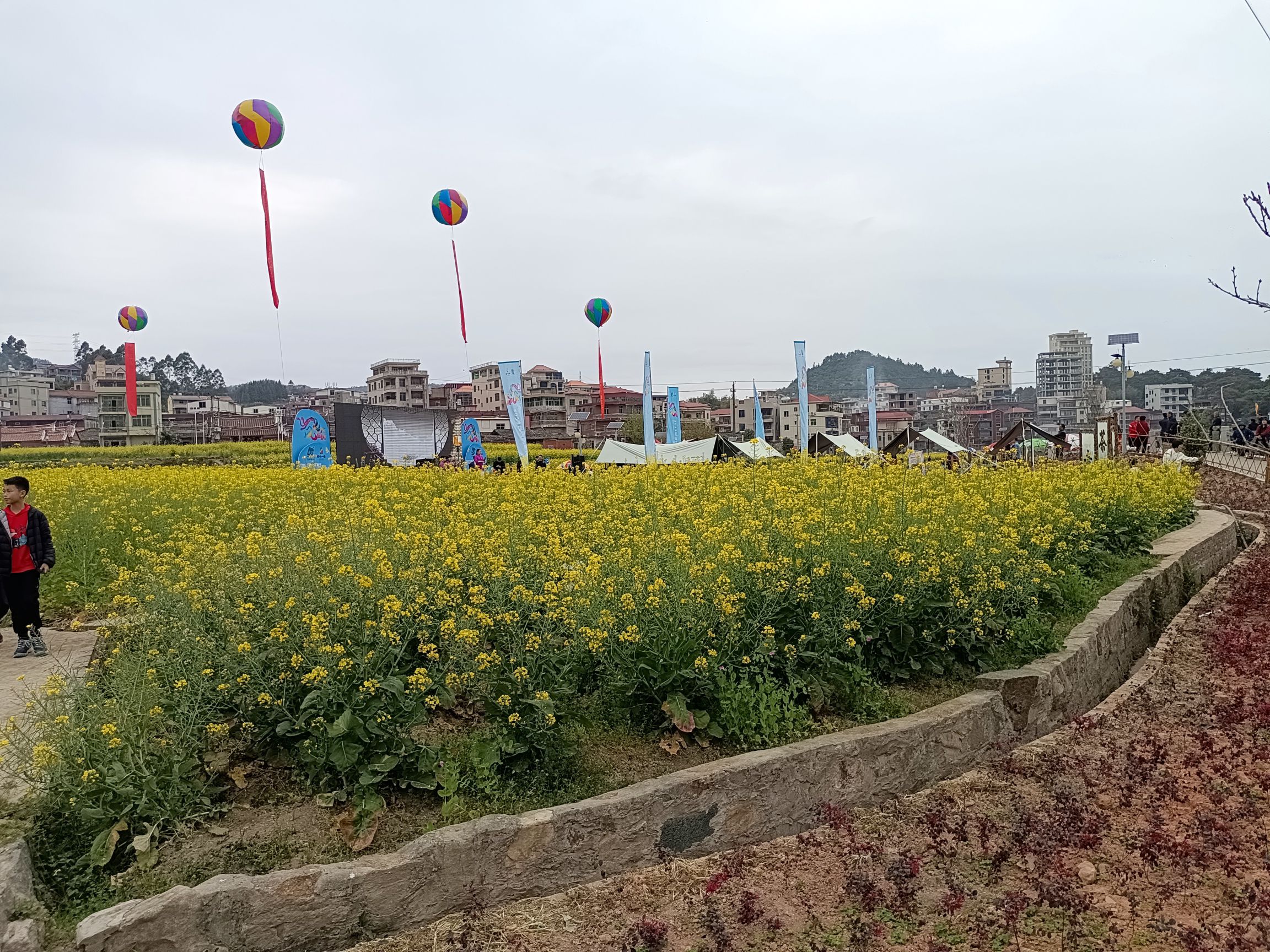 洛江虹山油菜花旅行图片 3