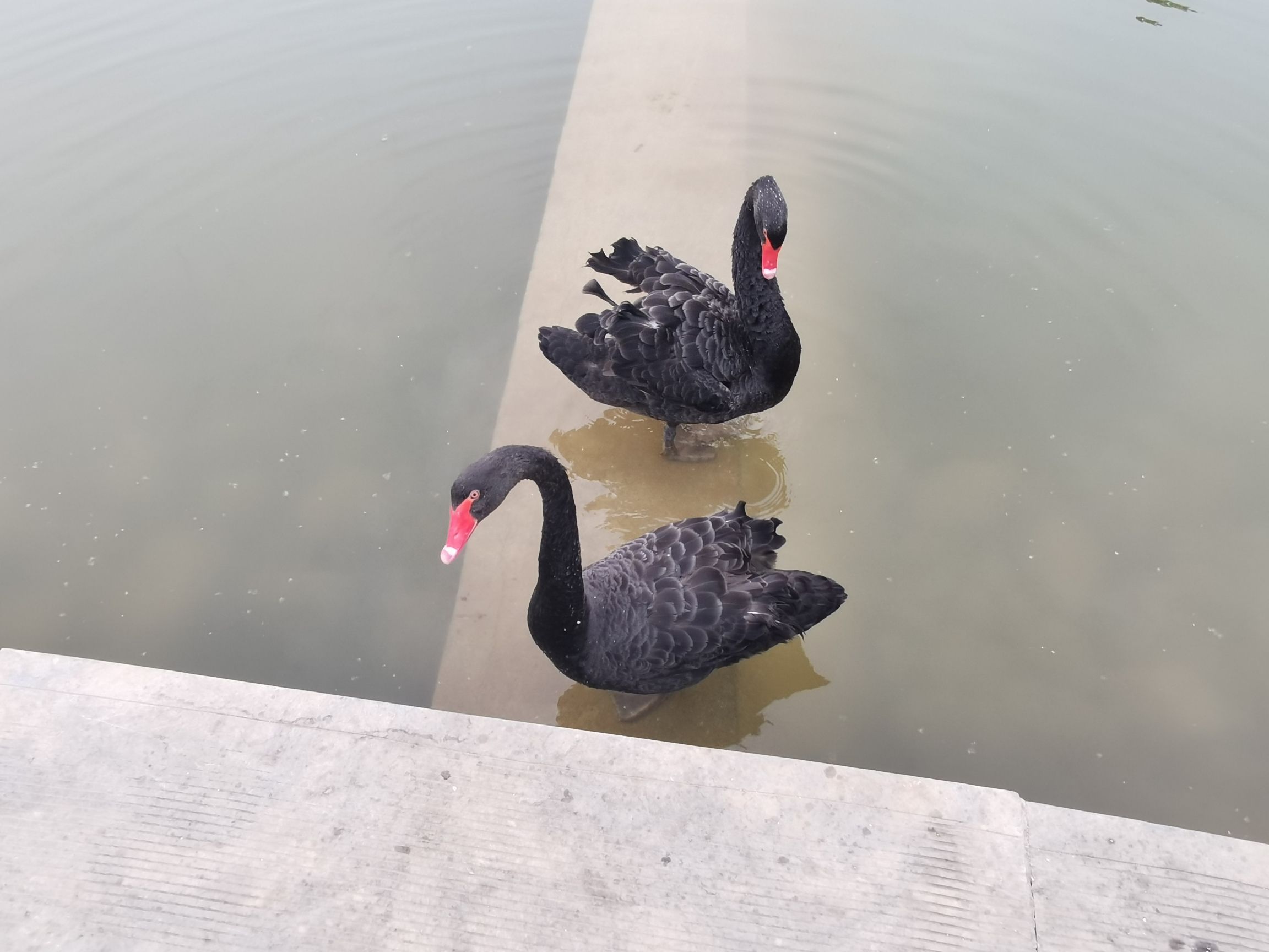 花博会主题公园旅行图片 3