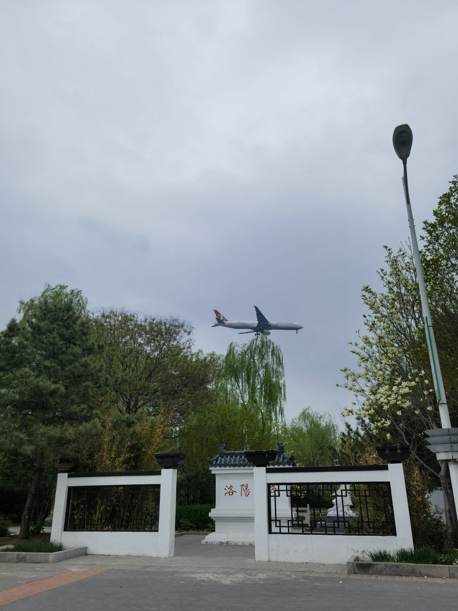 花博会主题公园旅行图片 3