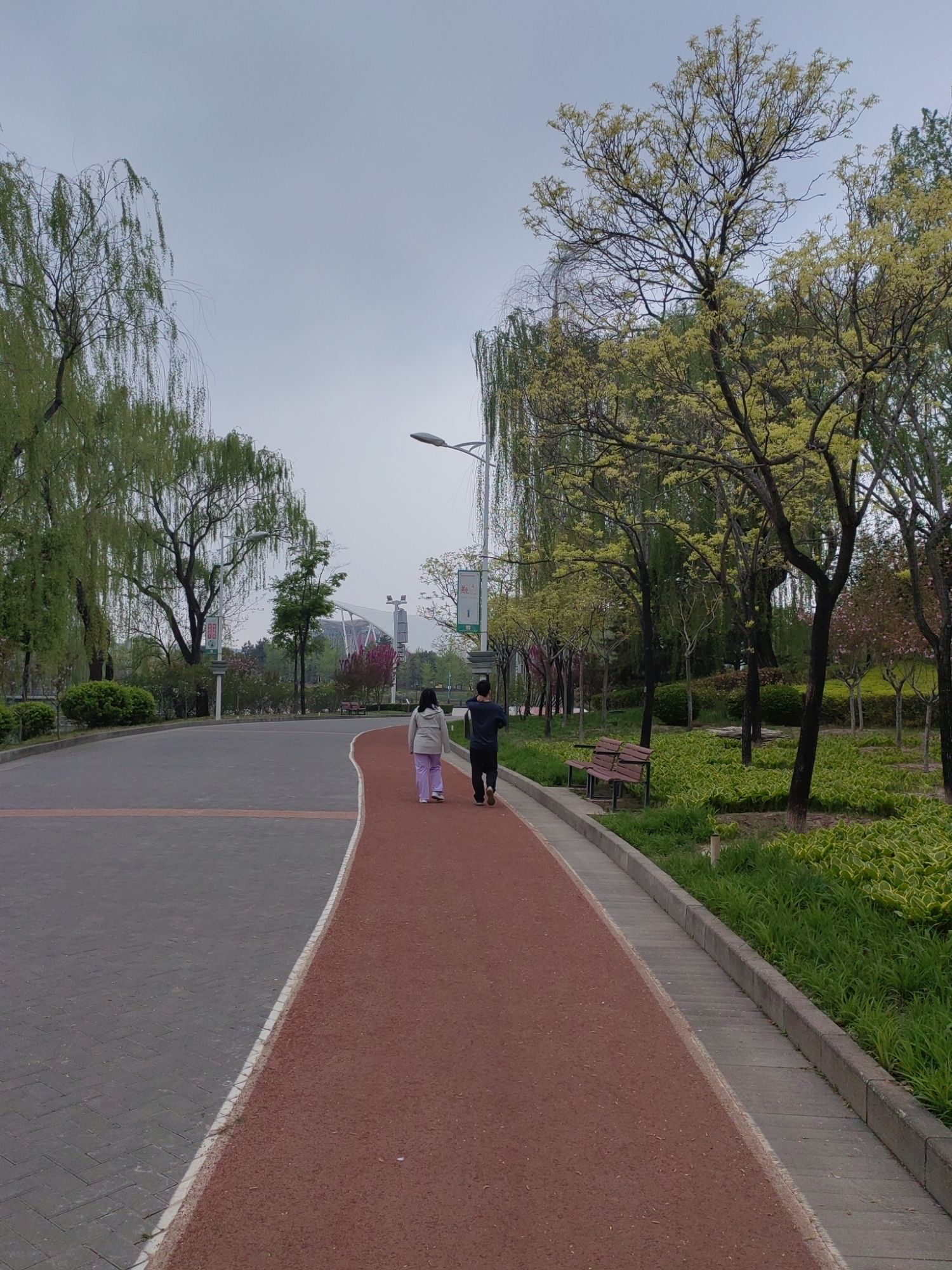 花博会主题公园旅行图片 2