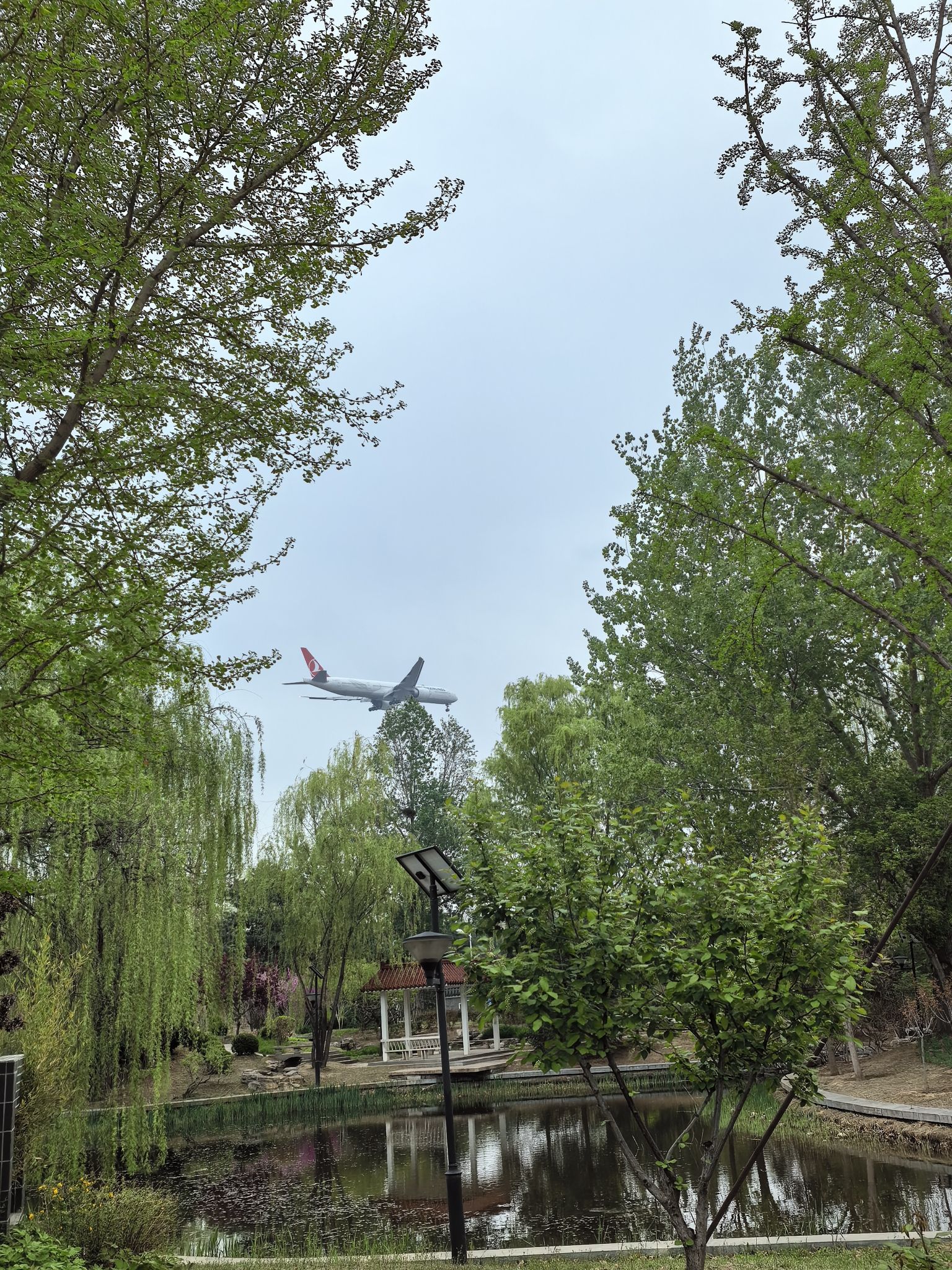花博会主题公园旅行图片 1