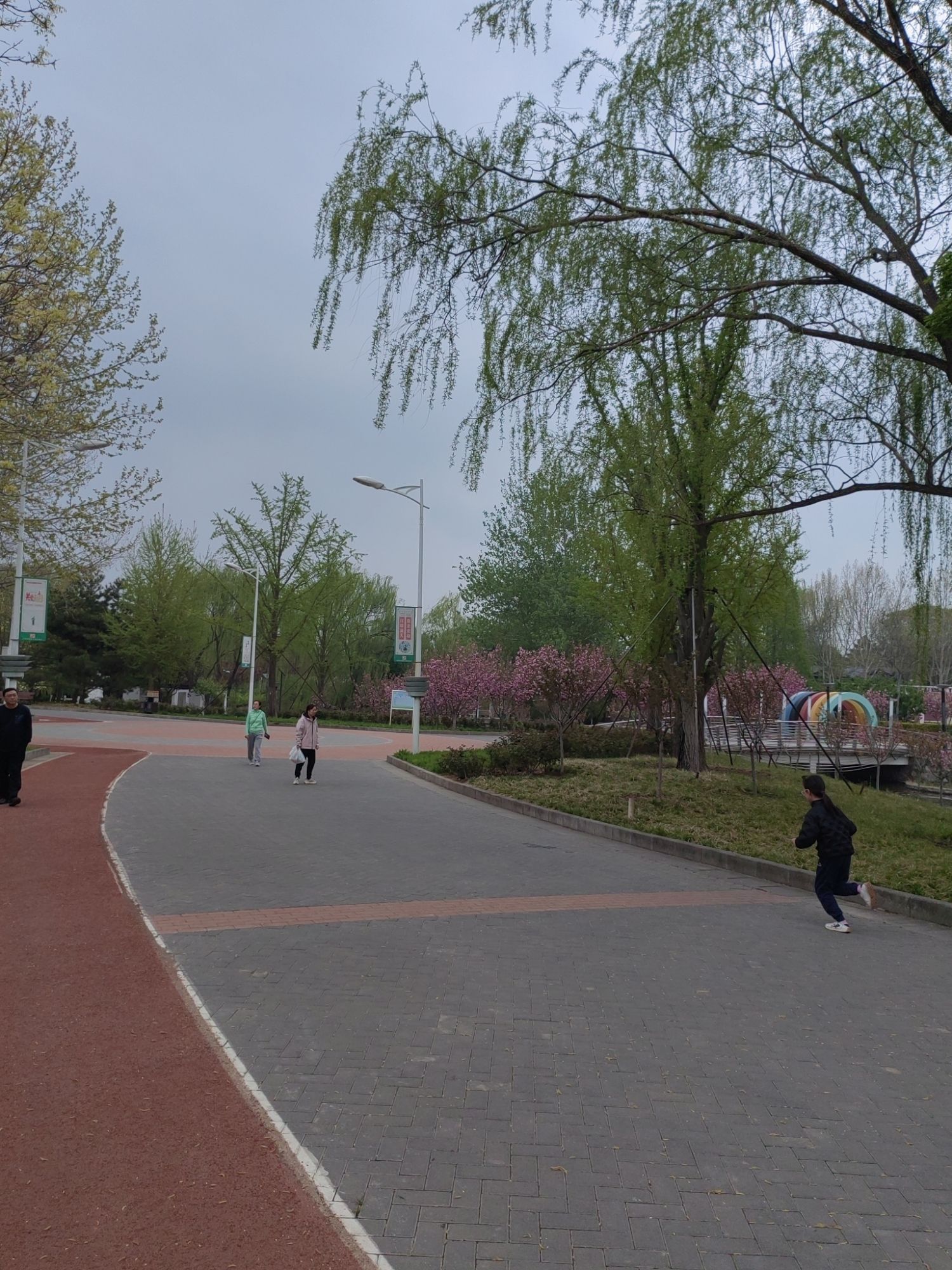 花博会主题公园旅行图片 1