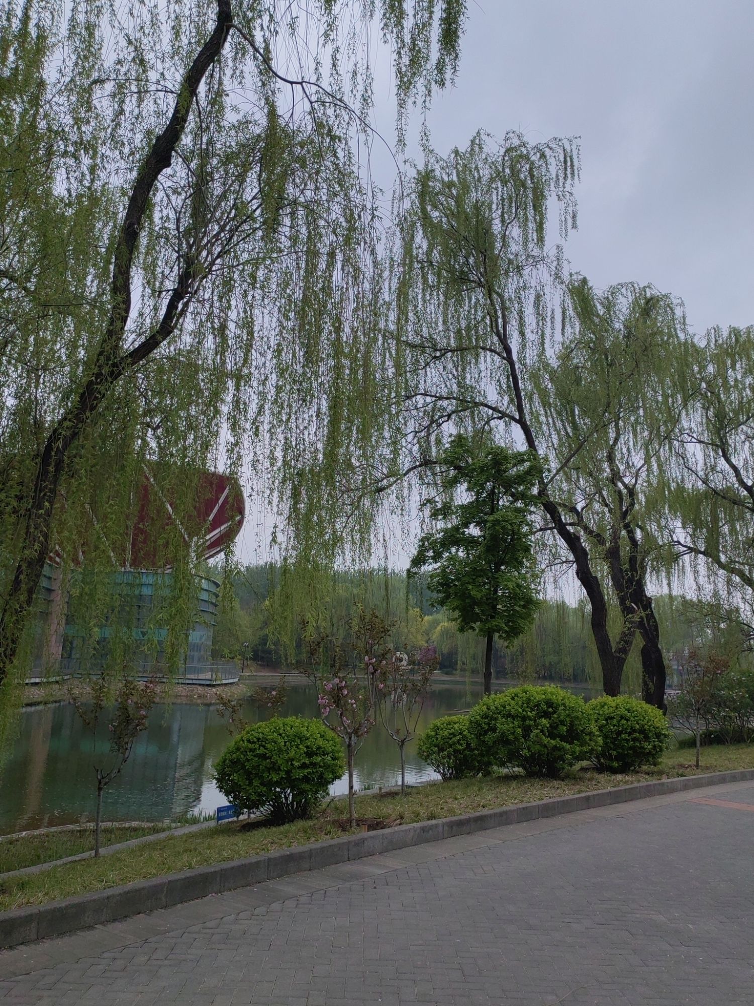 花博会主题公园旅行图片 3