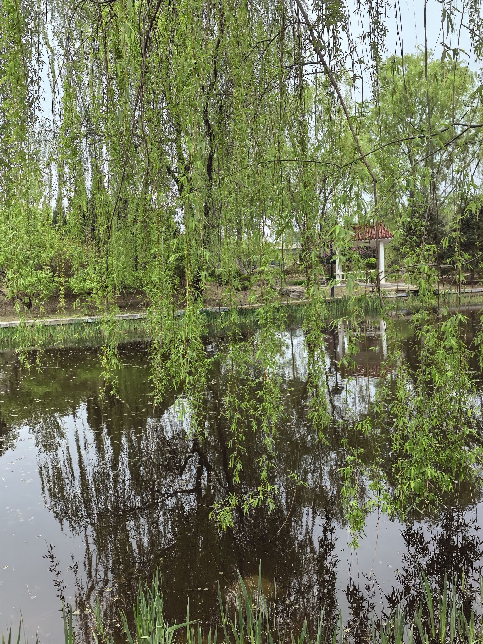花博会主题公园旅行图片 3