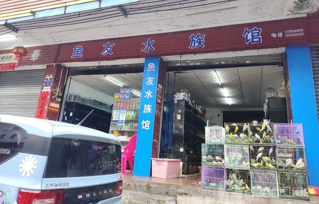 鱼友水族馆(革新路店)