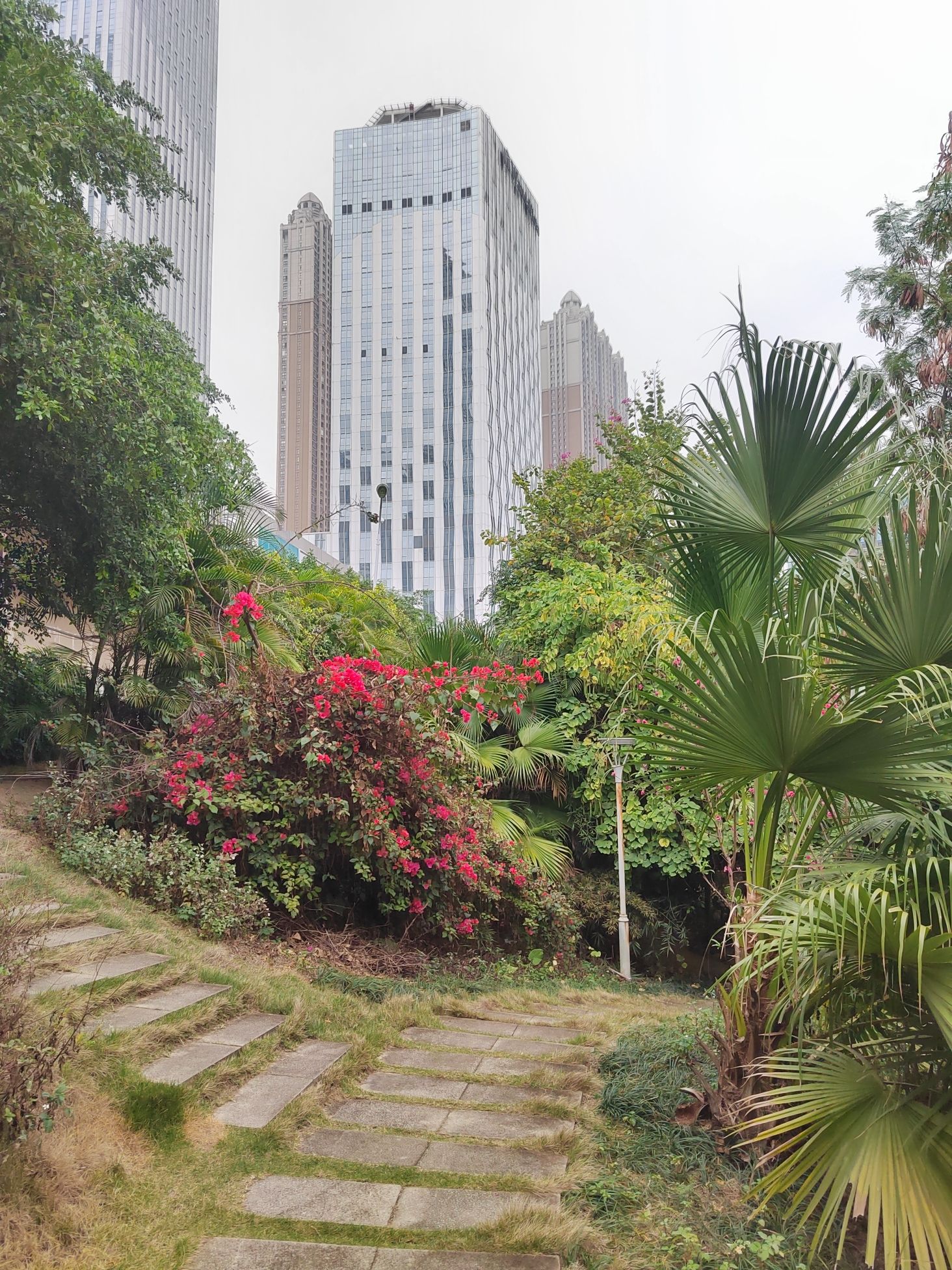 贤宾湖公园旅行图片 2
