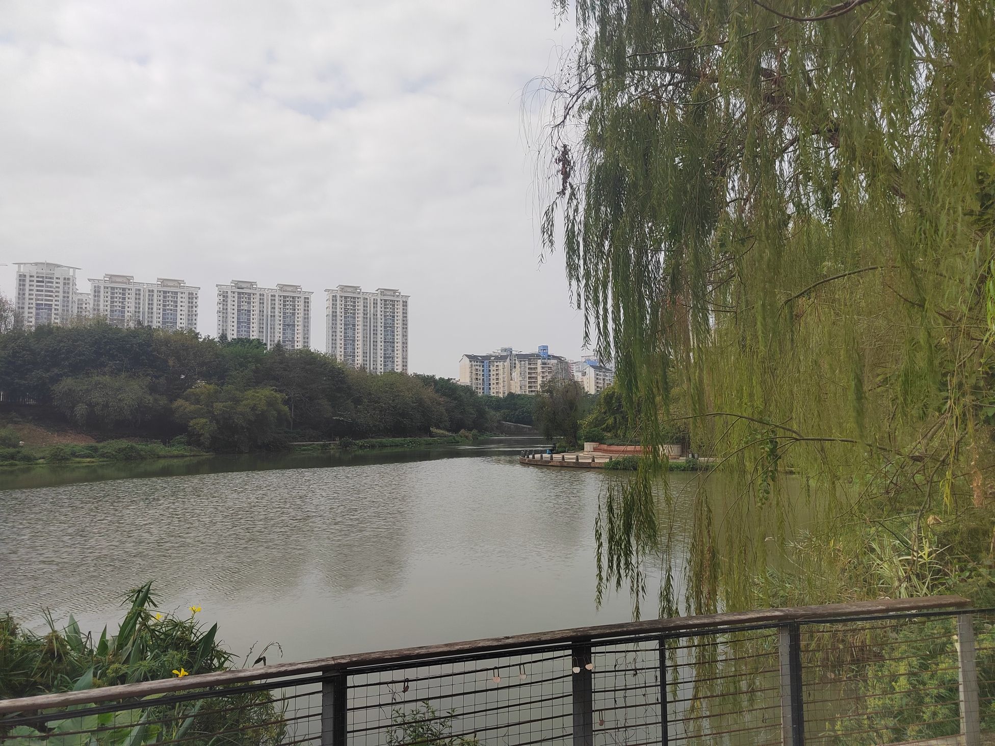 贤宾湖公园旅行图片 3