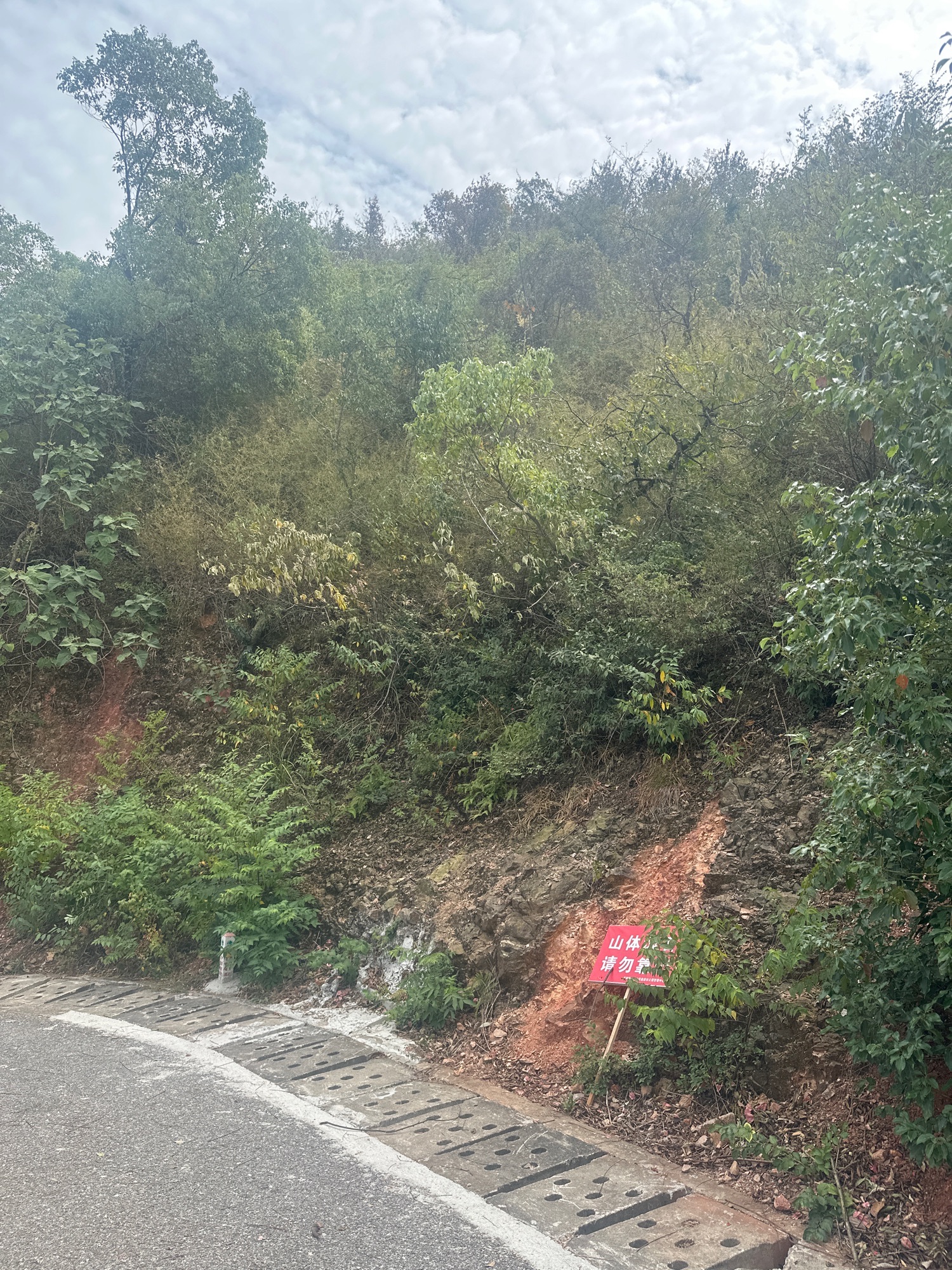 灵雾山风景区旅行图片 1
