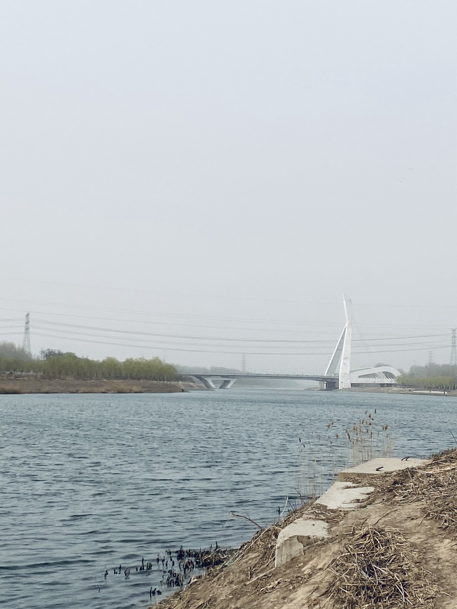 温榆河滨河森林公园北区旅行图片 3