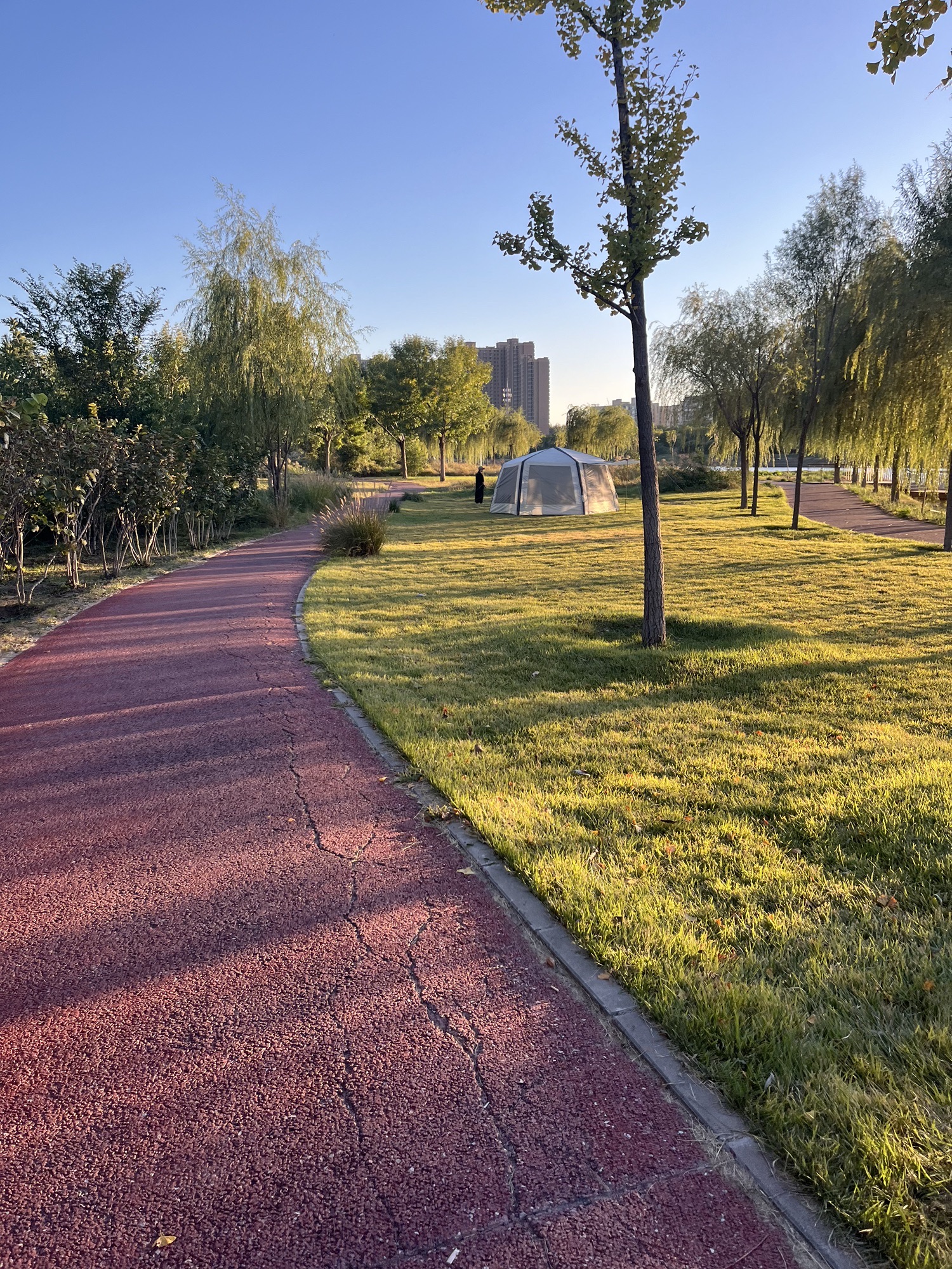 温榆河滨河森林公园北区旅行图片 1