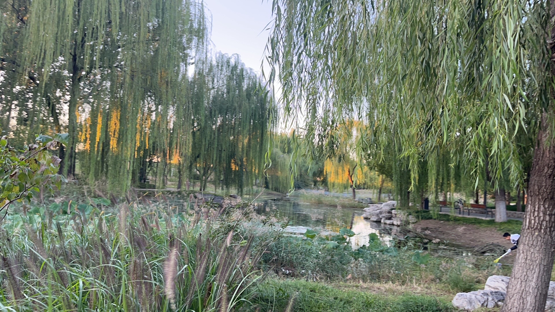 温榆河滨河森林公园北区旅行图片 3