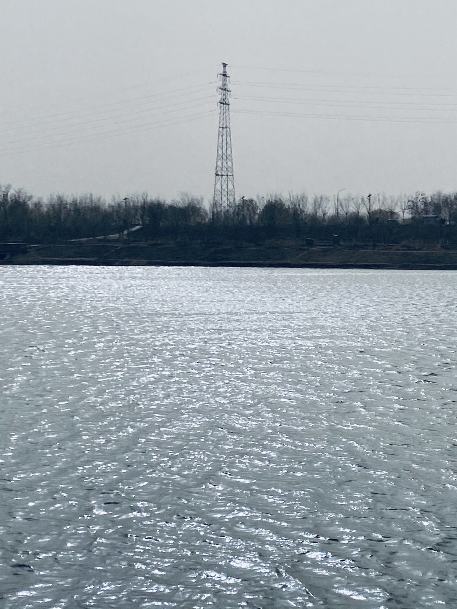 温榆河滨河森林公园北区旅行图片 2